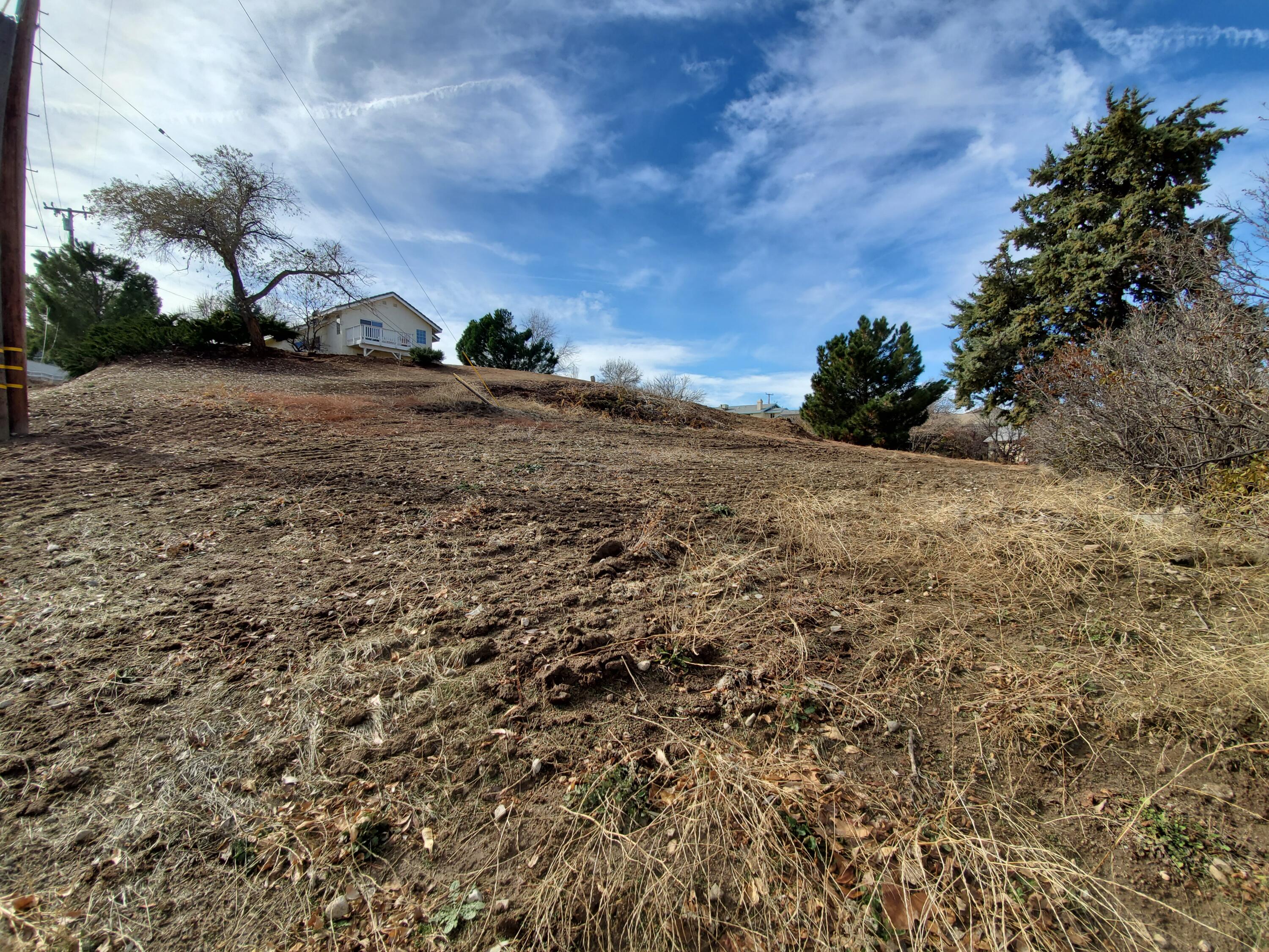 Chippewa Drive Lake Hughes, CA 93532 - Photo 20 of 31 a view of dirt yard with a tree