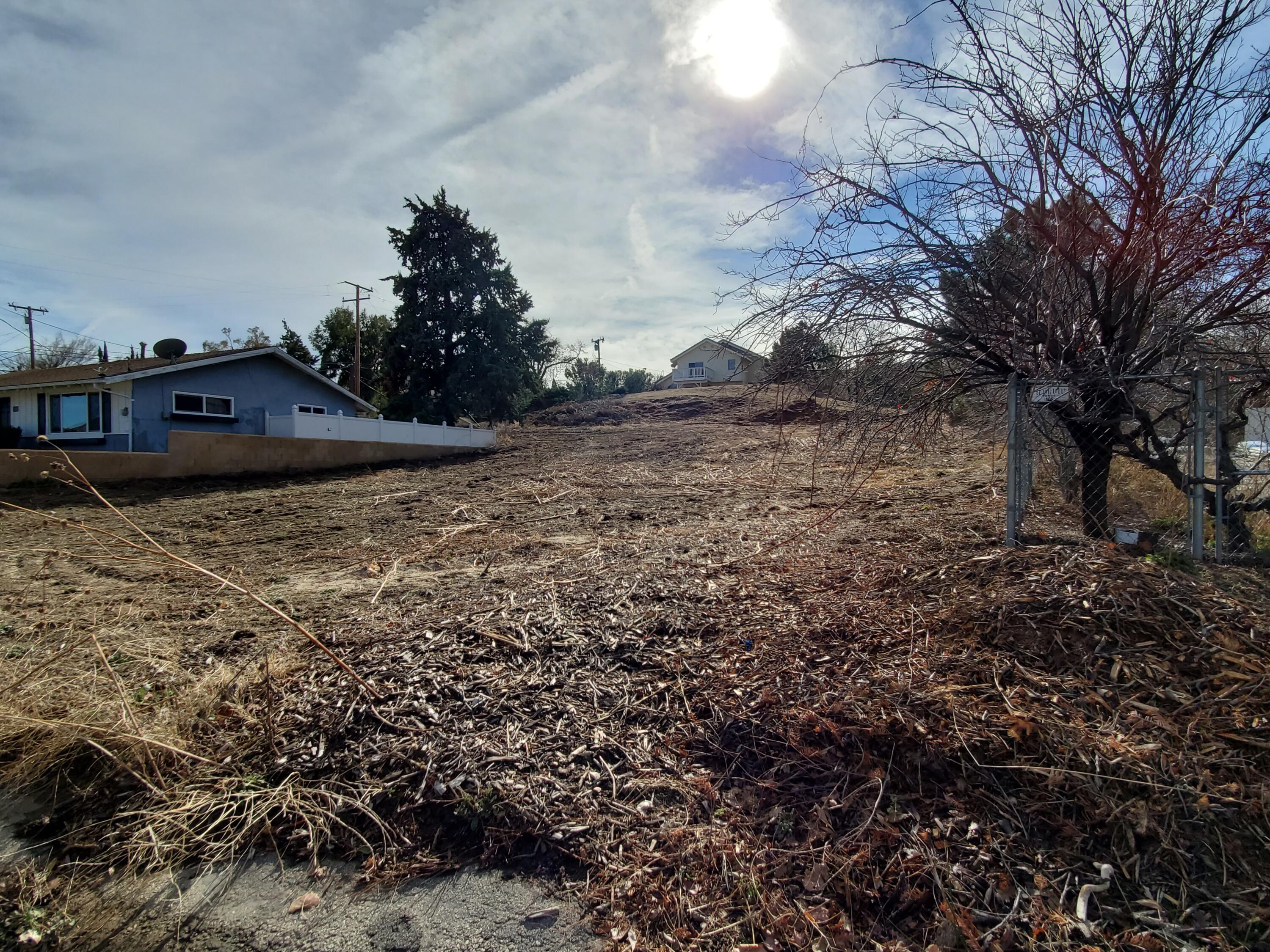 Chippewa Drive Lake Hughes, CA 93532 - Photo 2 of 31 a view of a outdoor space with trees