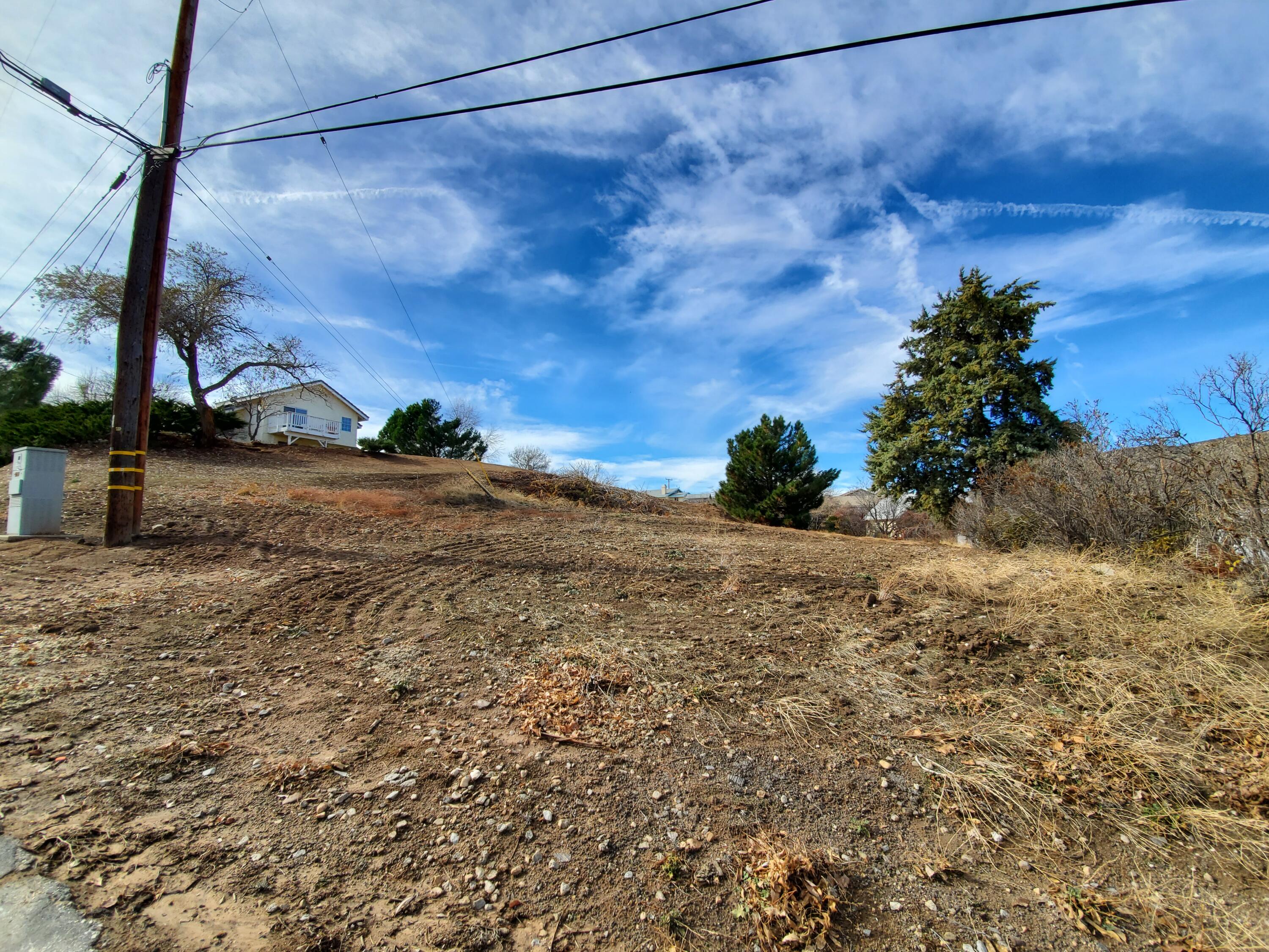 Chippewa Drive Lake Hughes, CA 93532 - Photo 21 of 31 a view of a yard with wooden fence