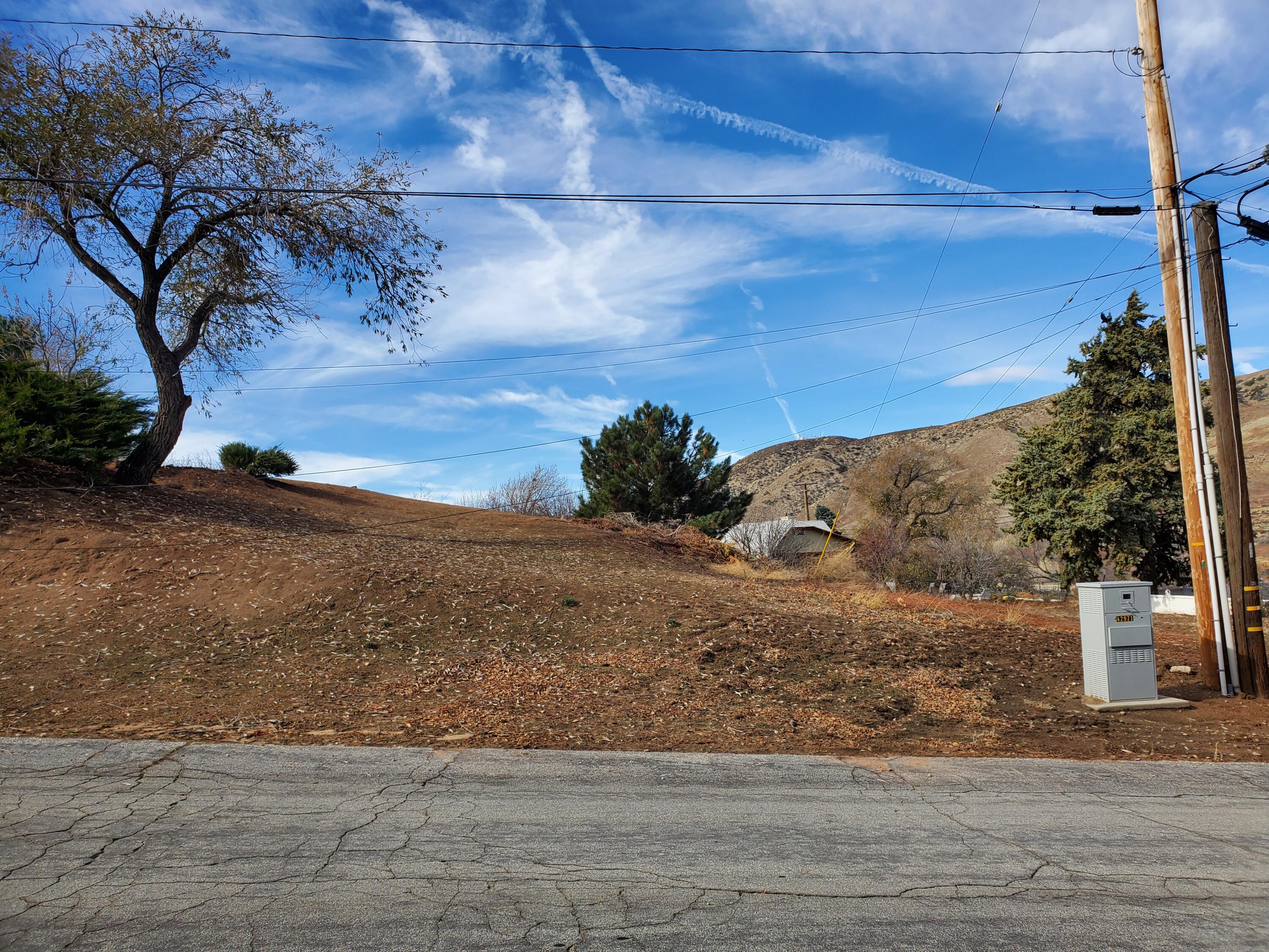 Chippewa Drive Lake Hughes, CA 93532 - Photo 25 of 31 a view of a dry yard with wooden fence
