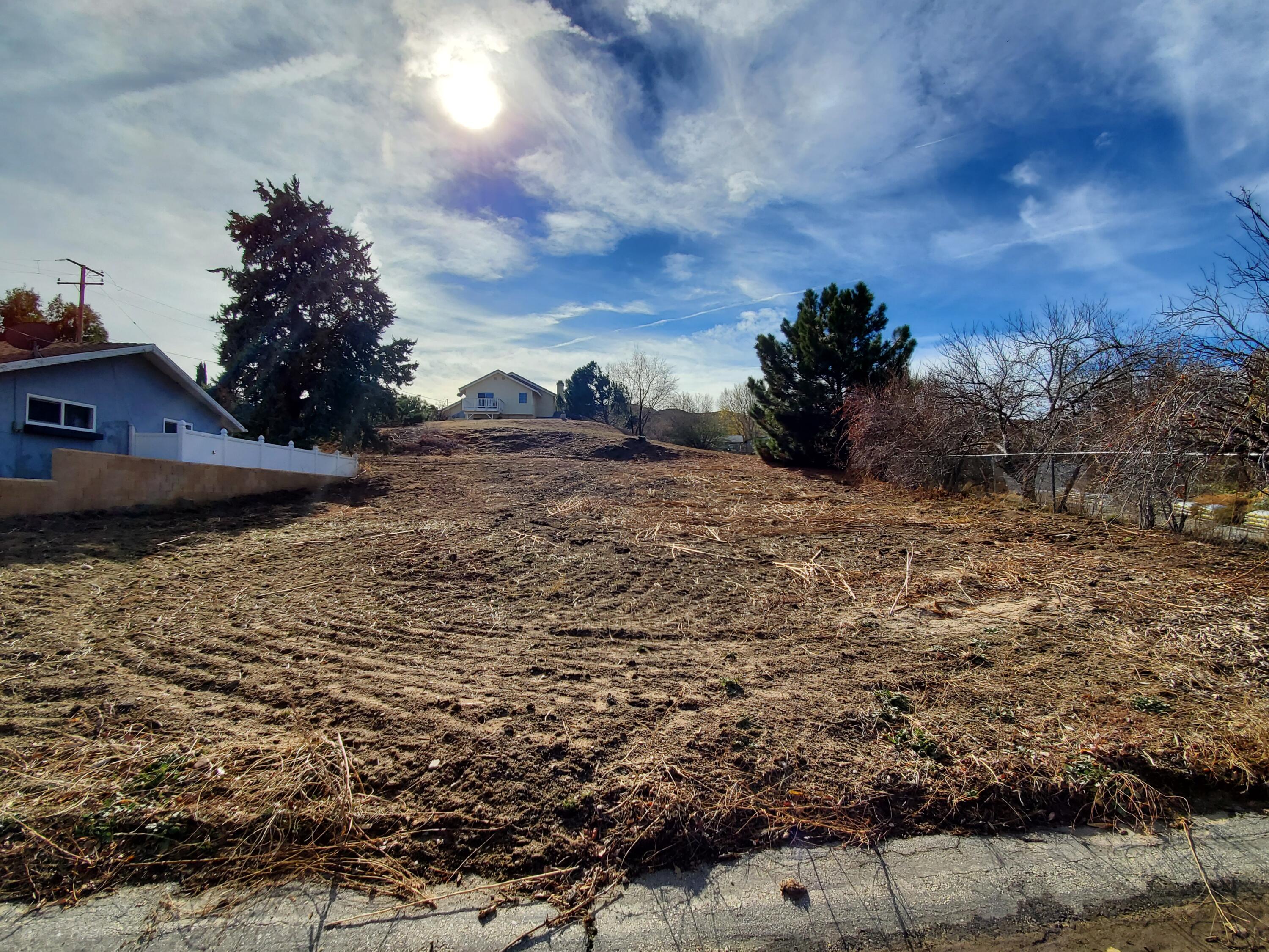 Chippewa Drive Lake Hughes, CA 93532 - Photo 3 of 31 a view of a dry yard with wooden fence