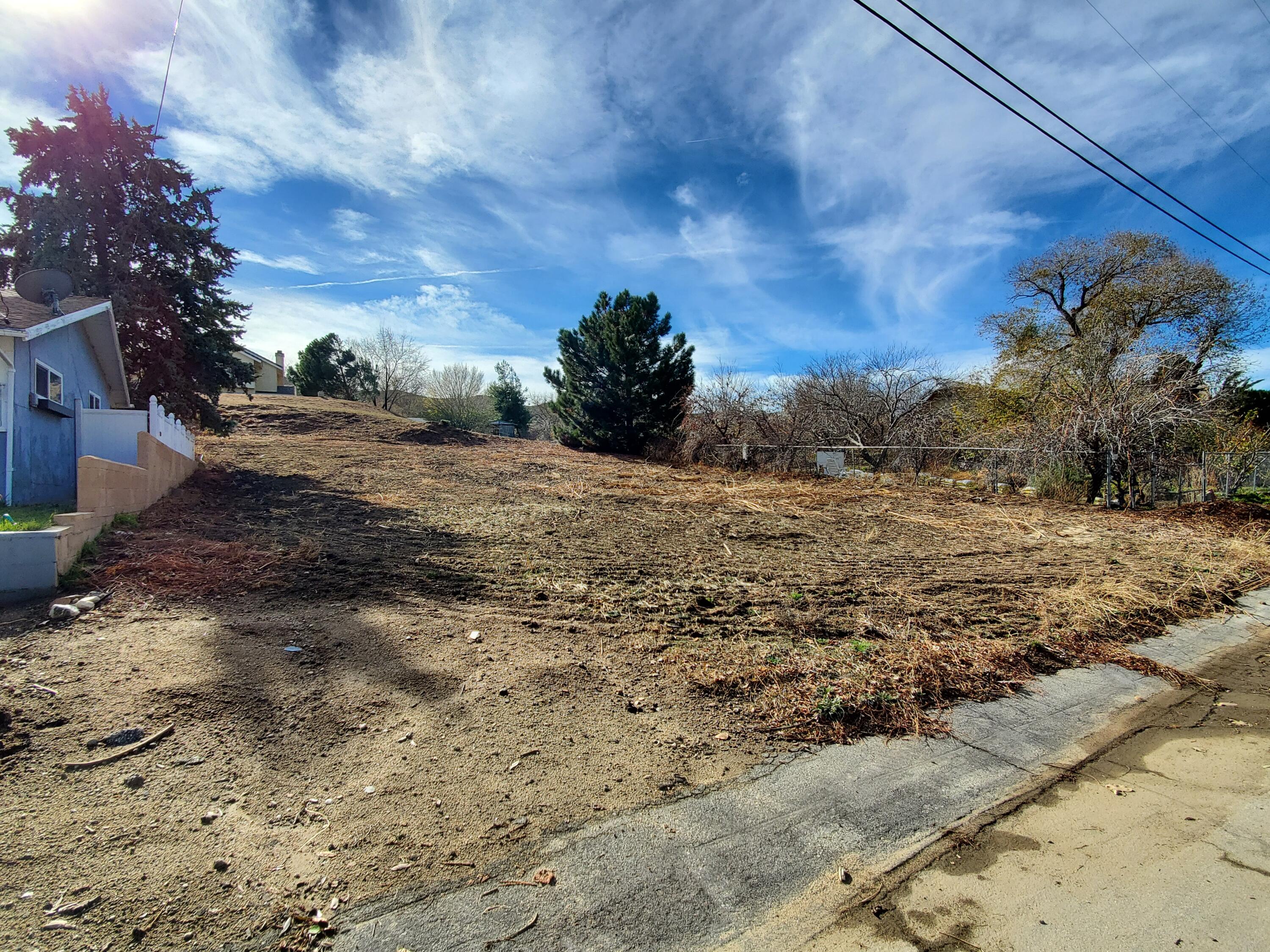 Chippewa Drive Lake Hughes, CA 93532 - Photo 4 of 31 a view of a dry yard with wooden fence