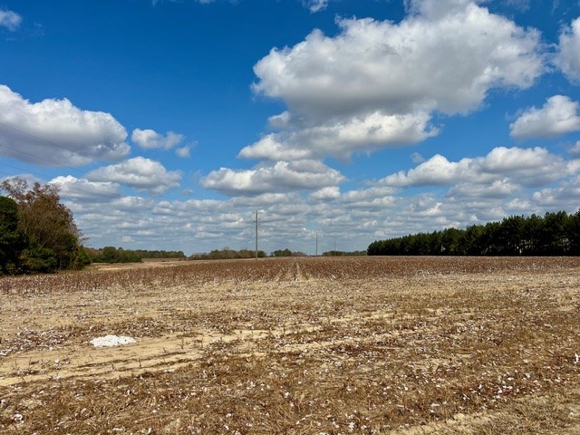 Undisclosed Address Headland, AL 36345 - Photo 32 of 36