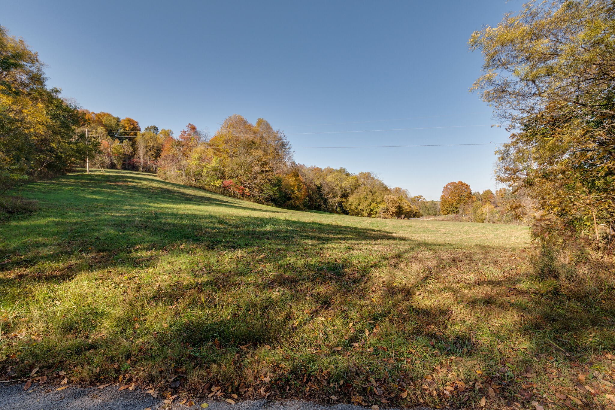 1 Mack Branch Road Lynnville, TN 38472 - Photo 1 of 18 Gallery Image 1