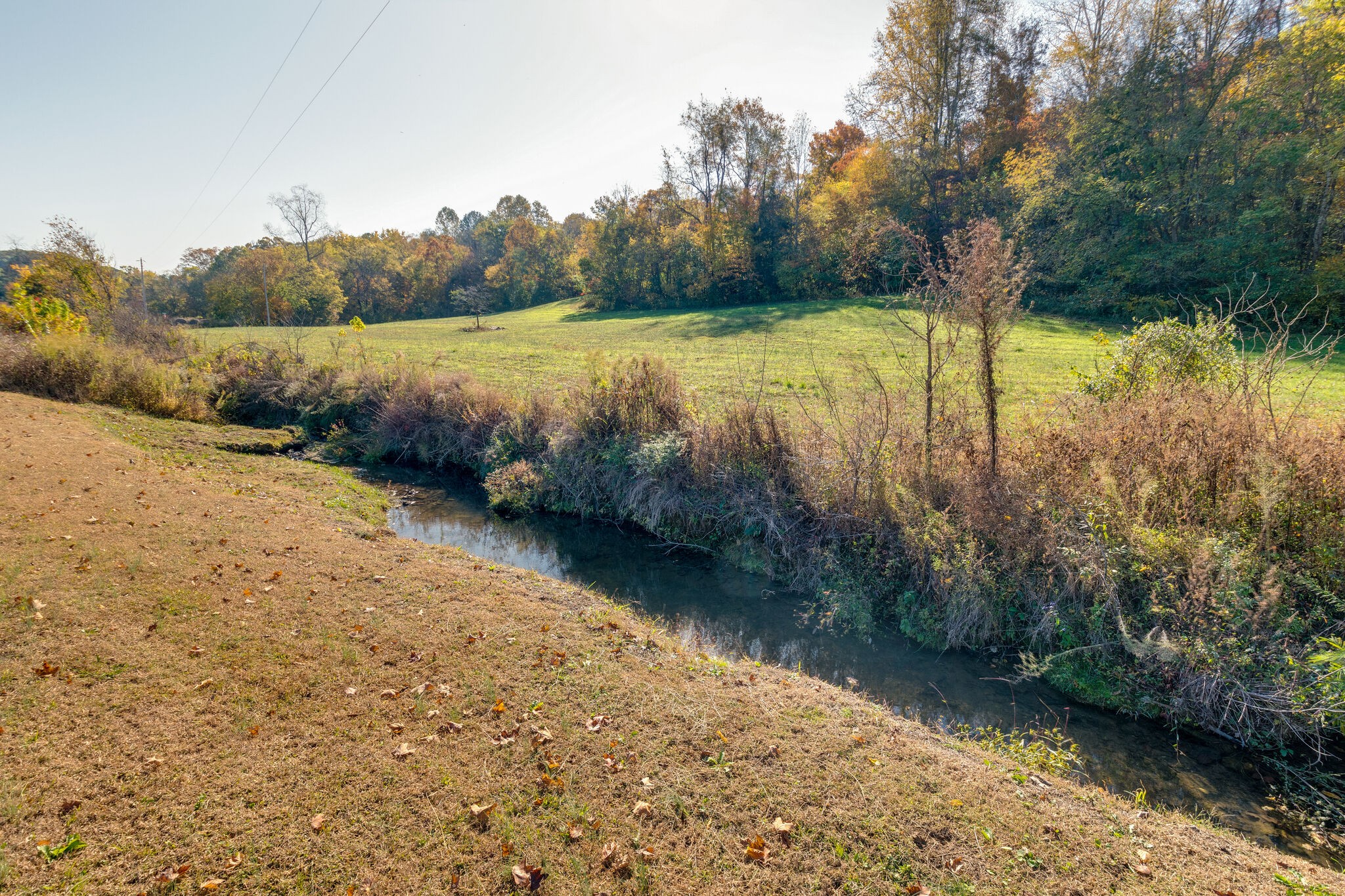 1 Mack Branch Road Lynnville, TN 38472 - Photo 16 of 18 Gallery Image 16