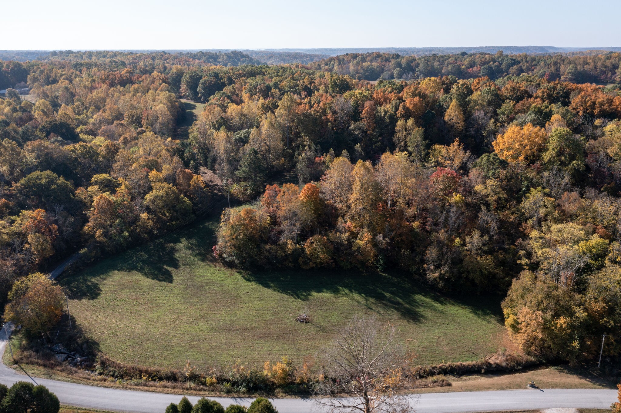 1 Mack Branch Road Lynnville, TN 38472 - Photo 7 of 18 Gallery Image 7