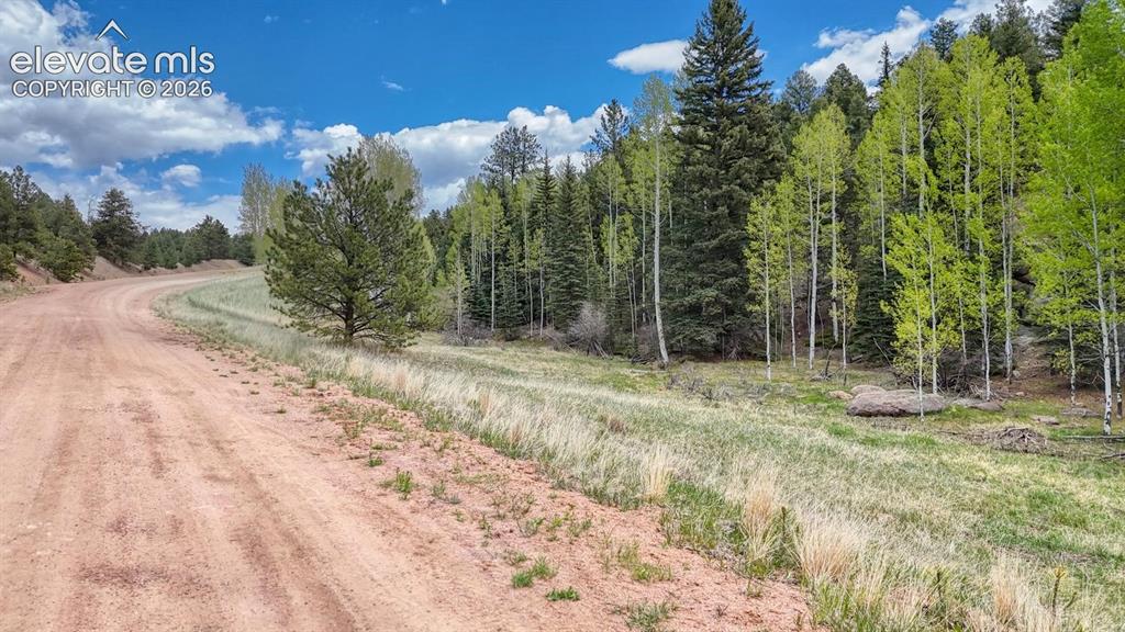 42 Rabbit Circle Florissant, CO 80816 - Photo 5 of 20 a view of a yard with trees