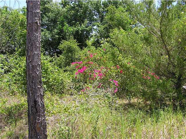 5164 Southeast Horseshoe Point Road Stuart, FL 34997 - Photo 9 of 25 Gallery Image 9