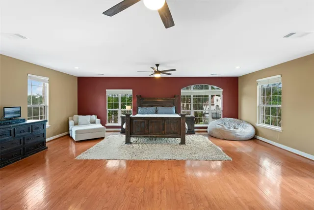 a view of a yard with plants and trees