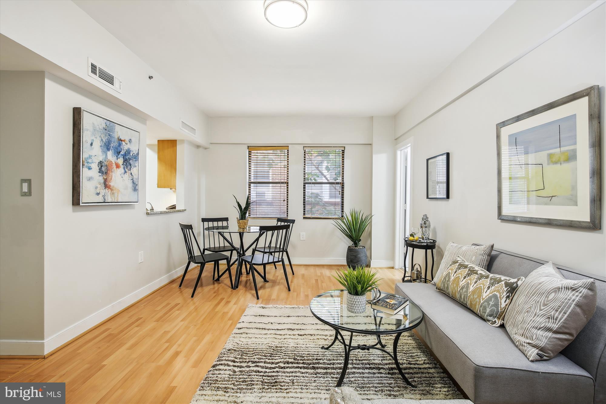 1727 R Street Northwest, Unit 303 Washington, DC 20009 - Photo 3 of 24