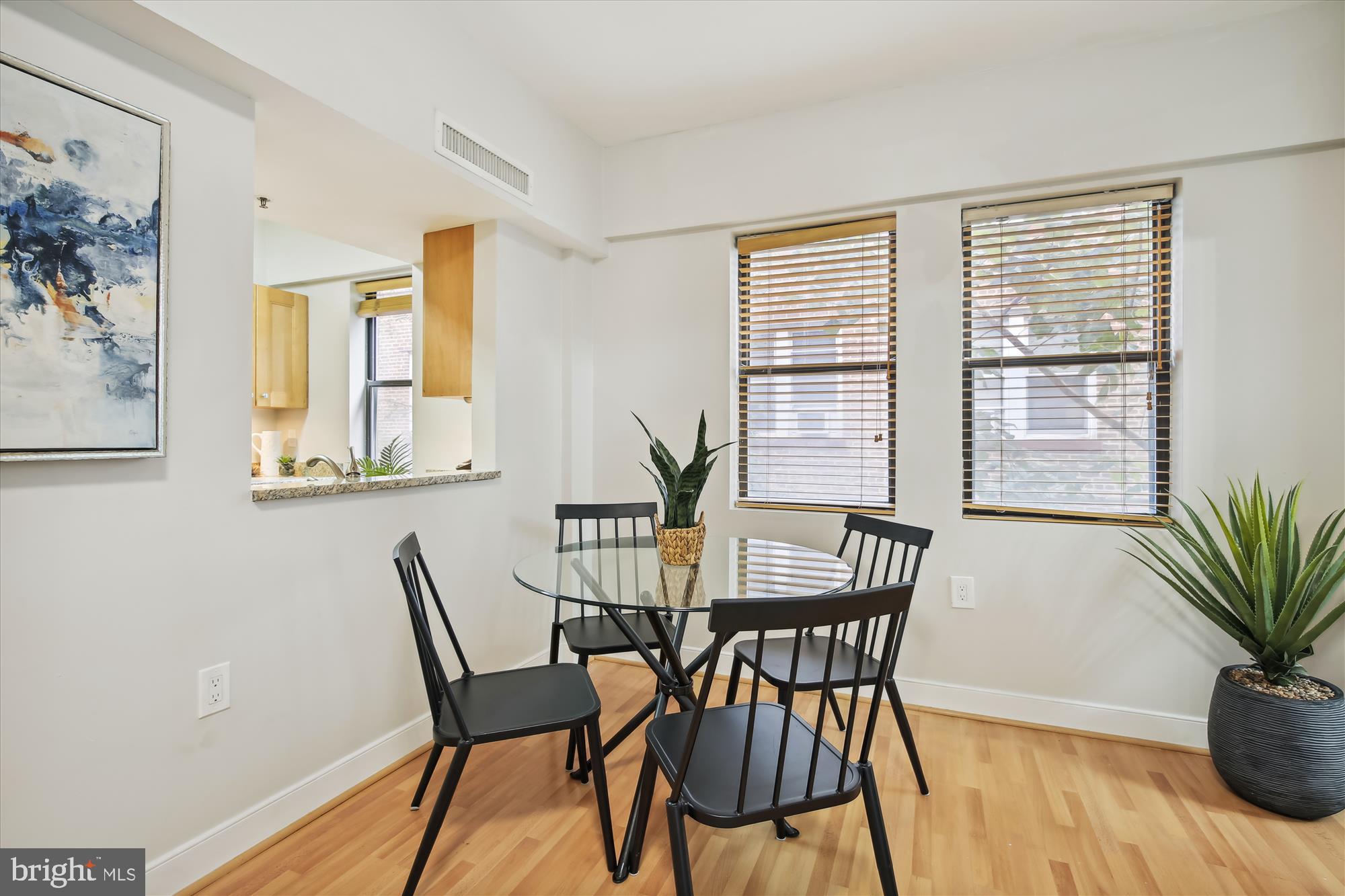 1727 R Street Northwest, Unit 303 Washington, DC 20009 - Photo 6 of 24