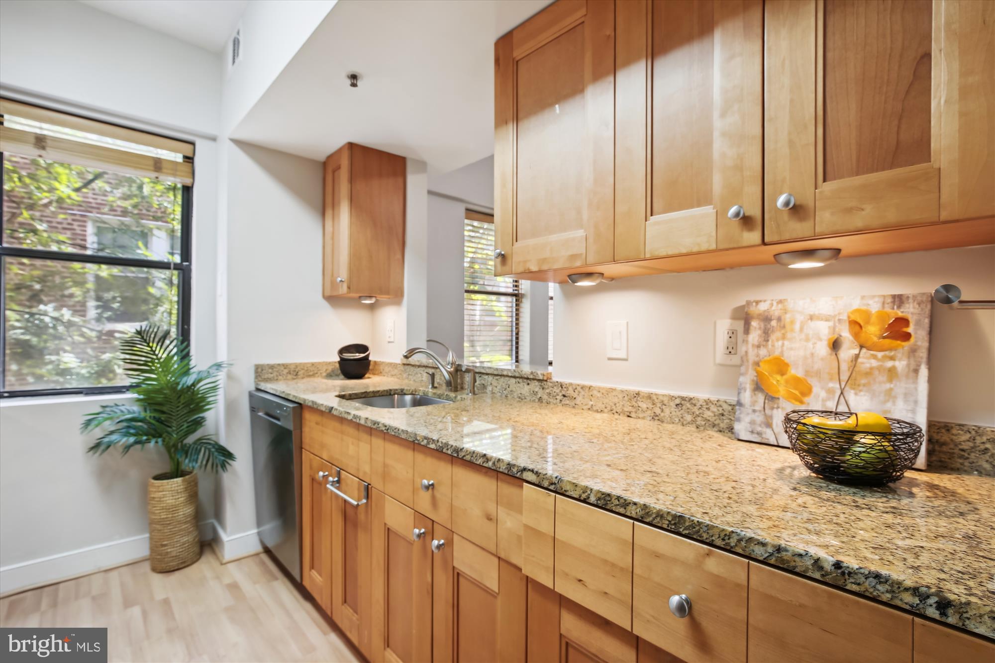 1727 R Street Northwest, Unit 303 Washington, DC 20009 - Photo 10 of 24
