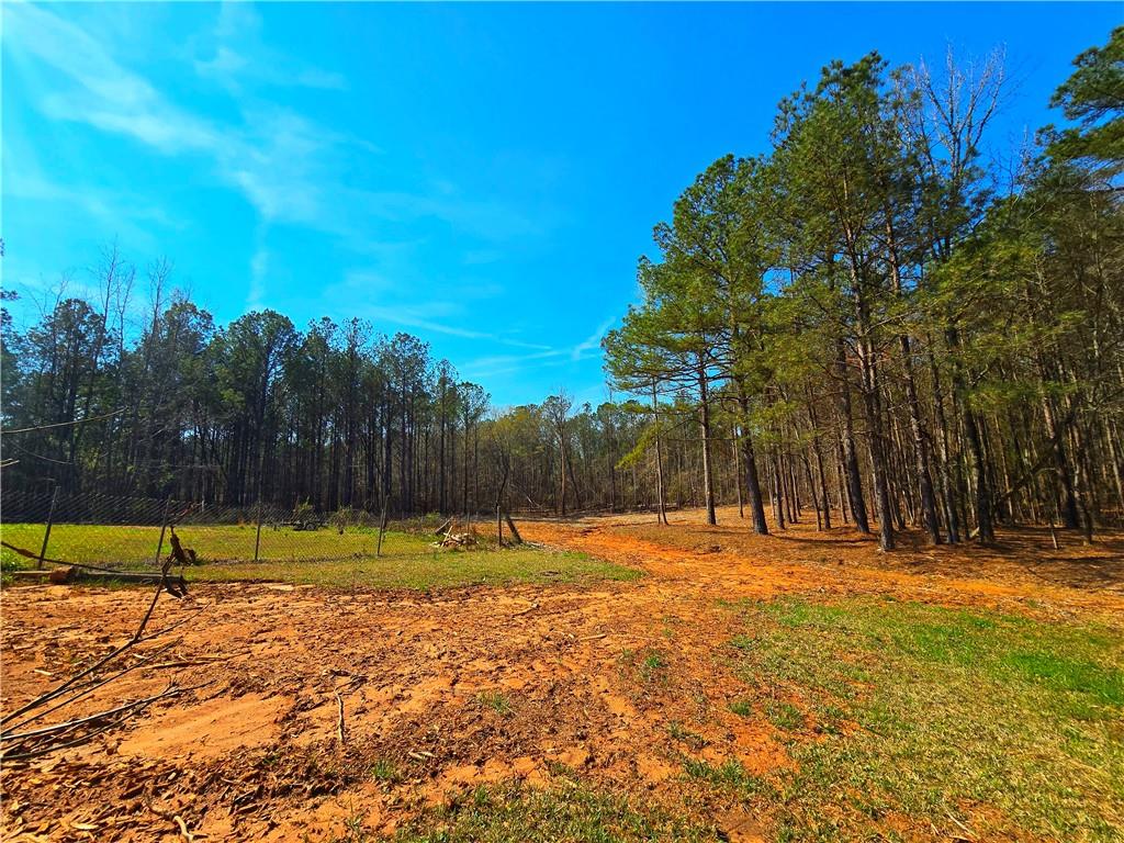2001 Rocky Creek Road Mansfield, GA 30055 - Photo 16 of 60