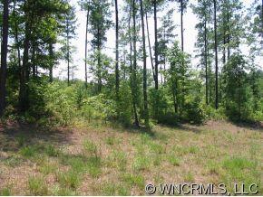 Lot 18 Loblolly Ln Mill Spring, Unit 18 Mill Spring, NC 28756 - Photo 11 of 12 Gallery Image 11