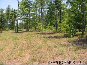 Lot 18 Loblolly Ln Mill Spring, Unit 18 Mill Spring, NC 28756 - Photo 8 of 12 Gallery Image 8