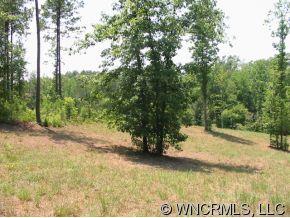 Lot 18 Loblolly Ln Mill Spring, Unit 18 Mill Spring, NC 28756 - Photo 9 of 12 Gallery Image 9