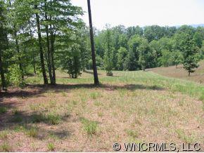 Lot 18 Loblolly Ln Mill Spring, Unit 18 Mill Spring, NC 28756 - Photo 10 of 12 Gallery Image 10
