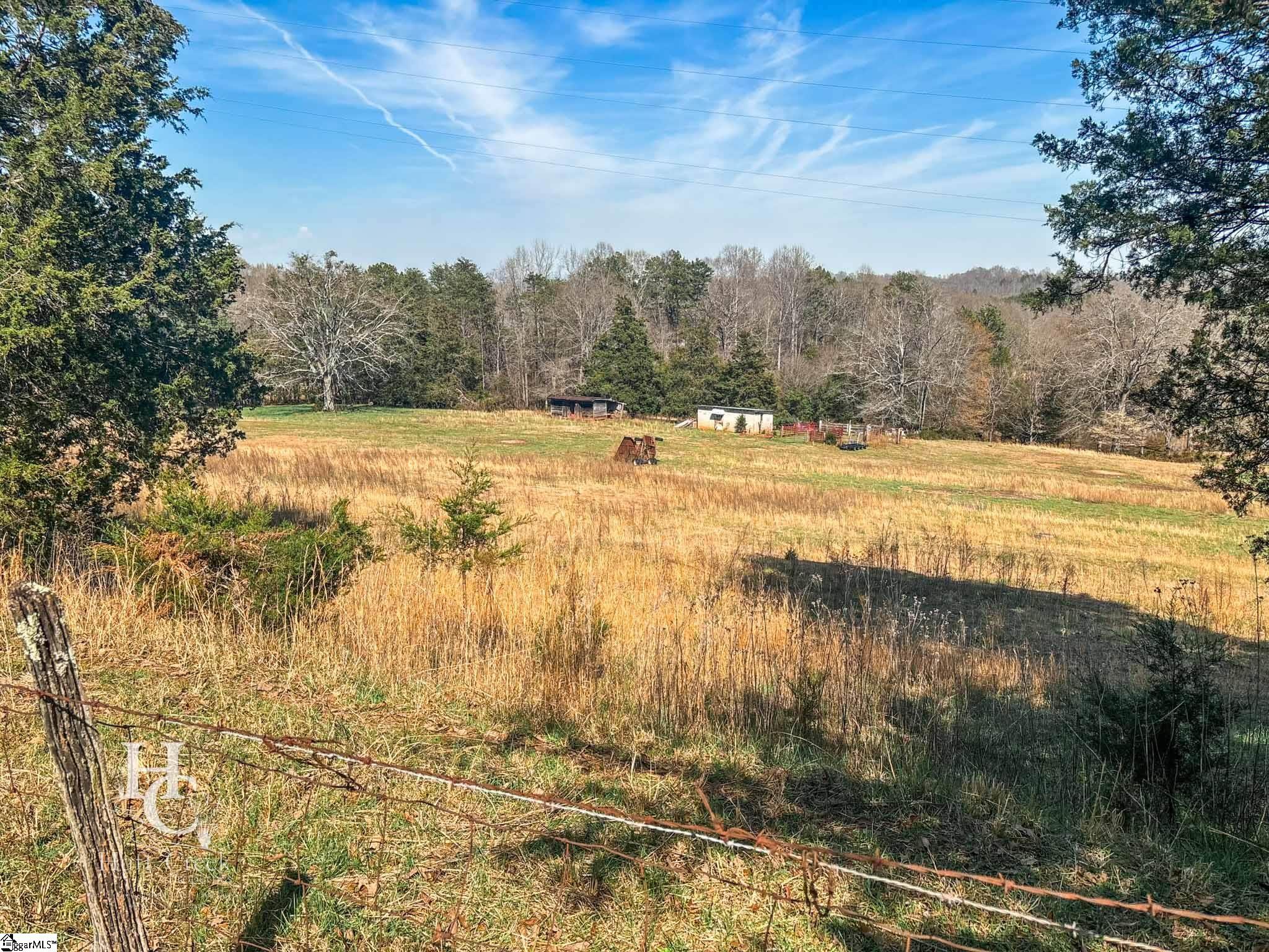 705 Dacusville Road Marietta, SC 29661 - Photo 11 of 50