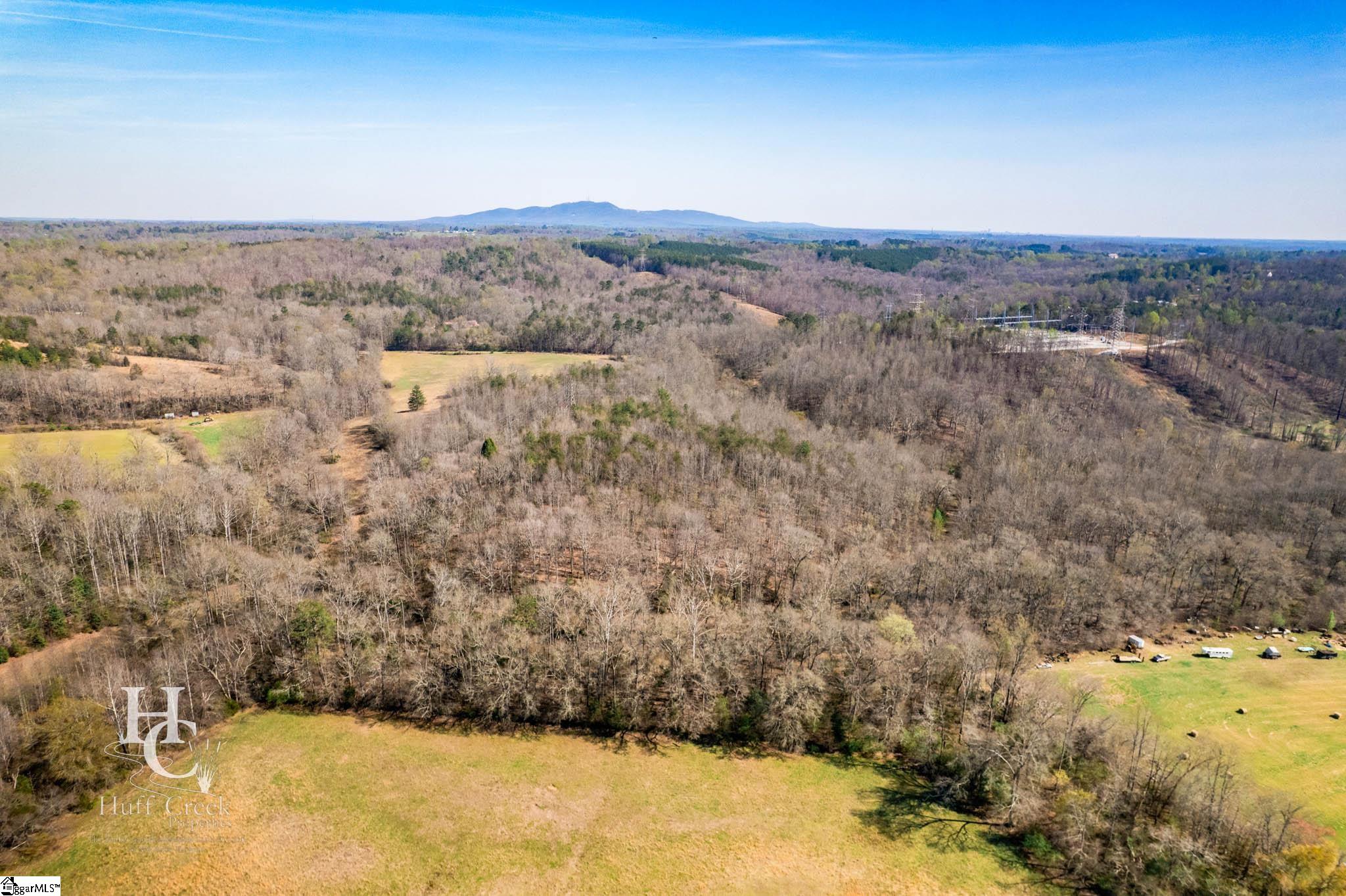 705 Dacusville Road Marietta, SC 29661 - Photo 12 of 49