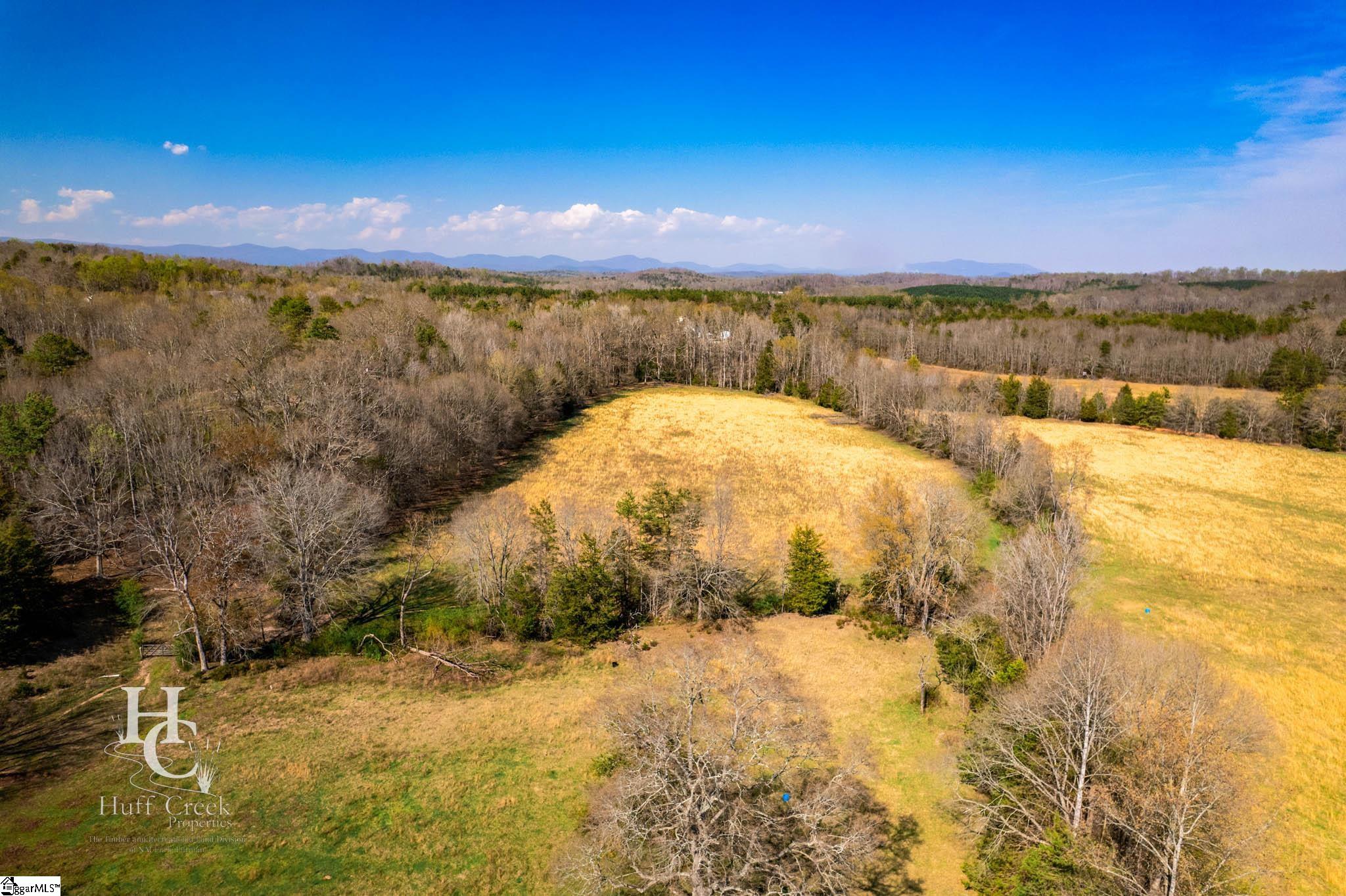 705 Dacusville Road Marietta, SC 29661 - Photo 17 of 50