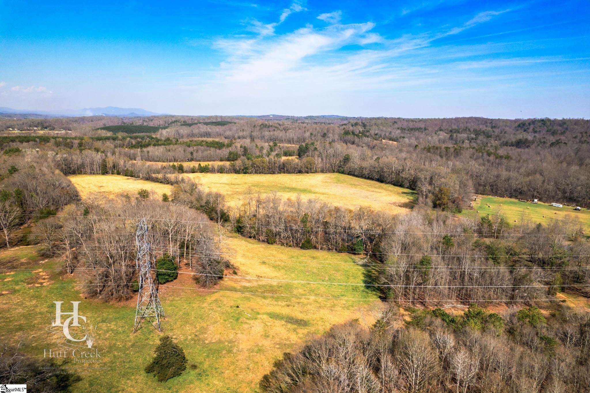 705 Dacusville Road Marietta, SC 29661 - Photo 18 of 50