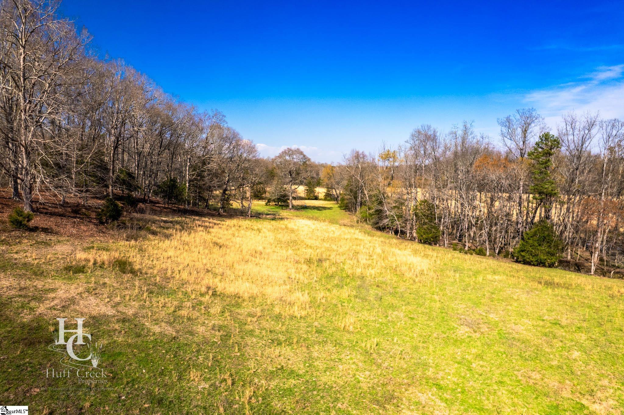 705 Dacusville Road Marietta, SC 29661 - Photo 19 of 50