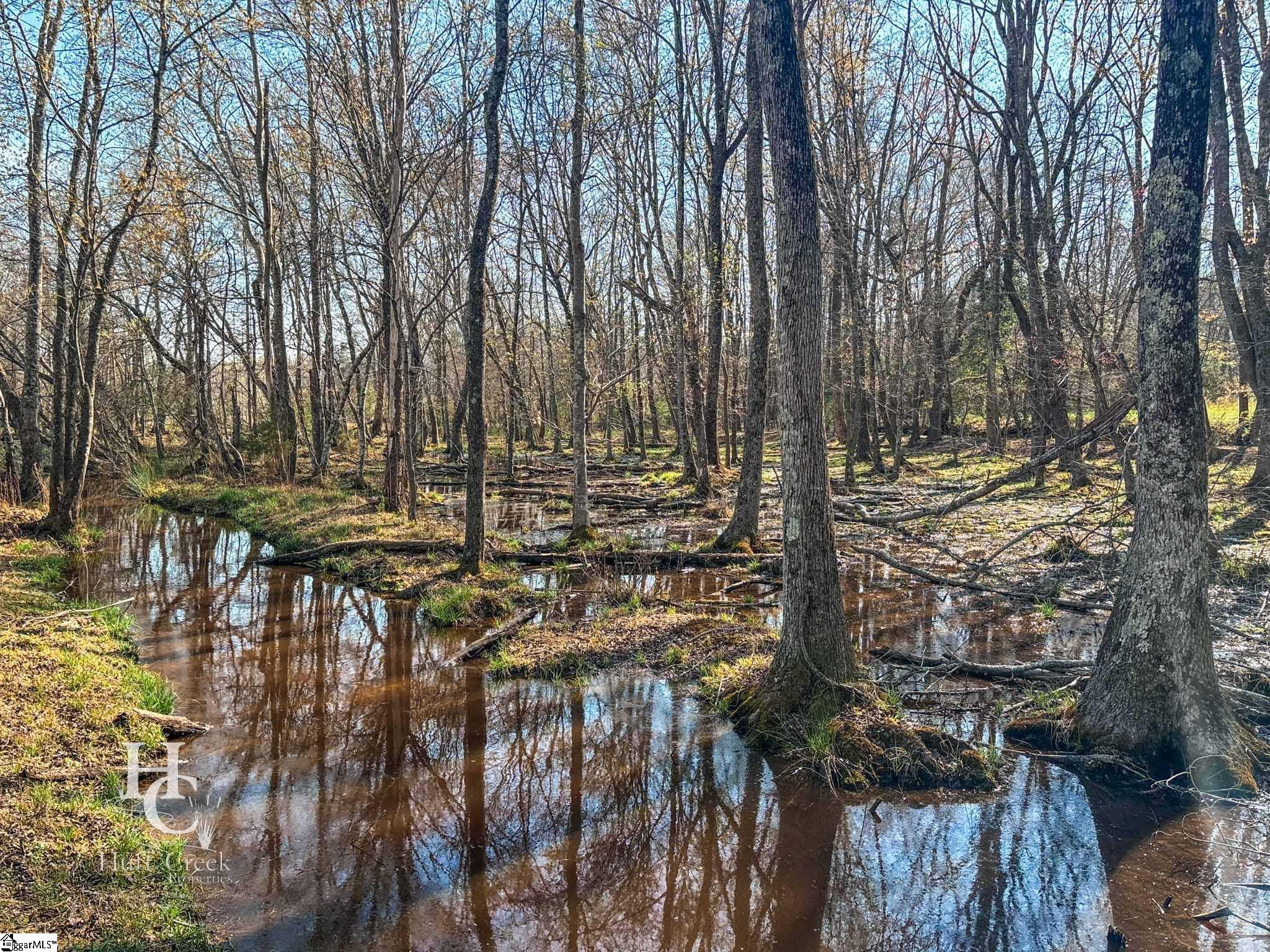 705 Dacusville Road Marietta, SC 29661 - Photo 20 of 49