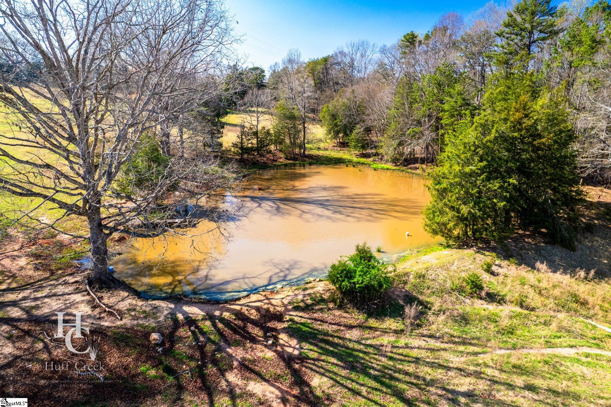 705 Dacusville Road Marietta, SC 29661 - Photo 20 of 50