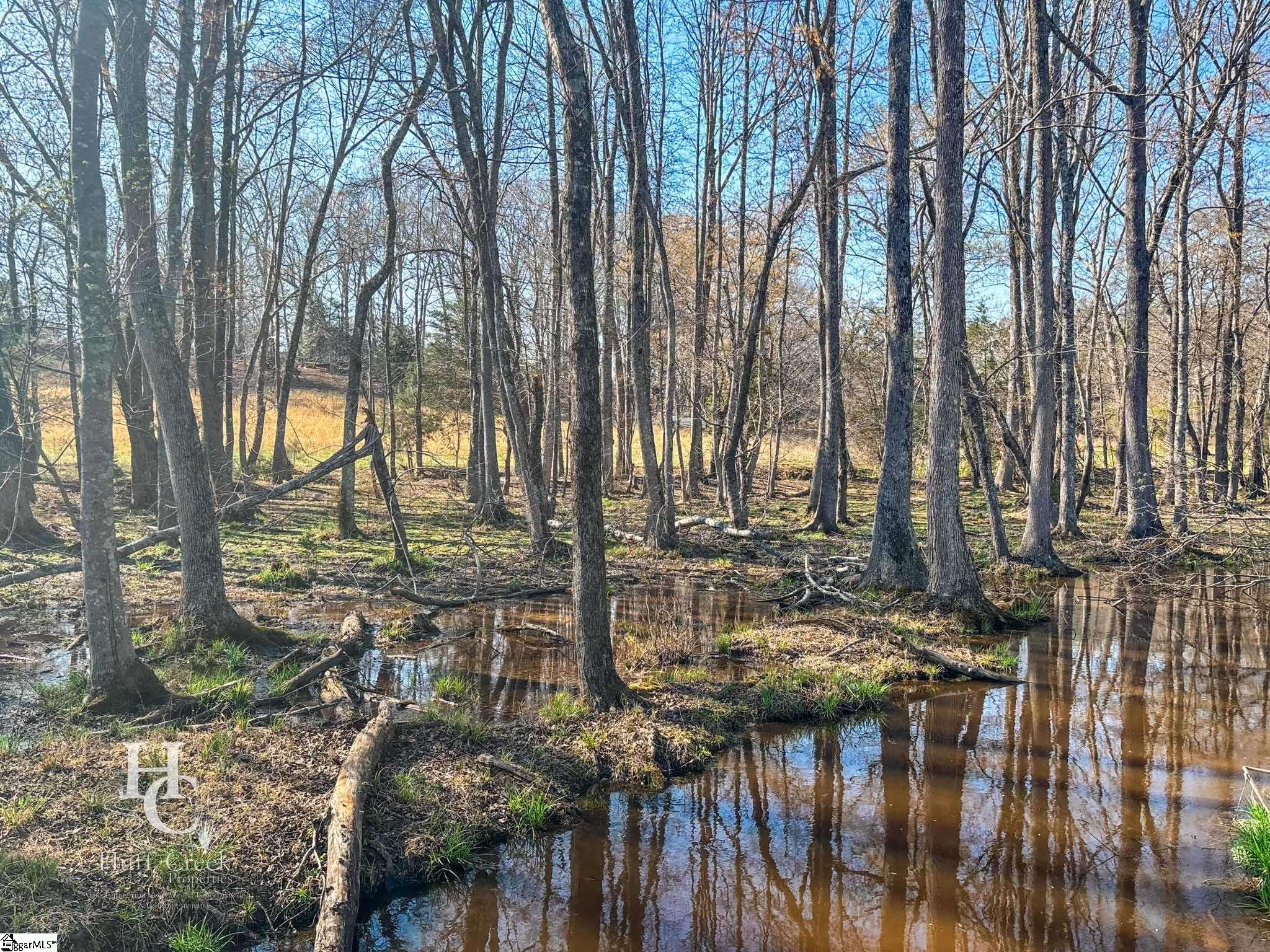 705 Dacusville Road Marietta, SC 29661 - Photo 21 of 49