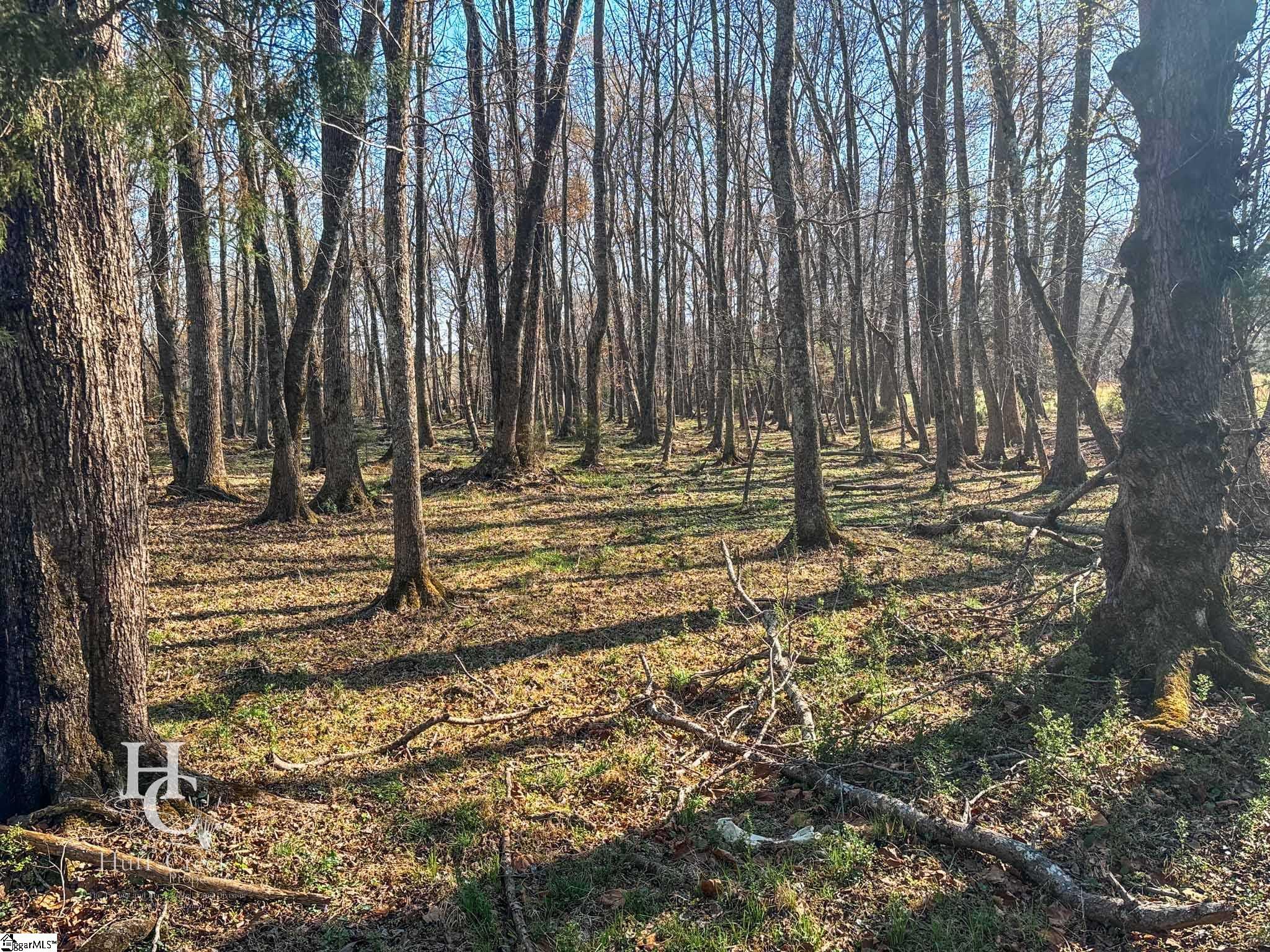 705 Dacusville Road Marietta, SC 29661 - Photo 22 of 49