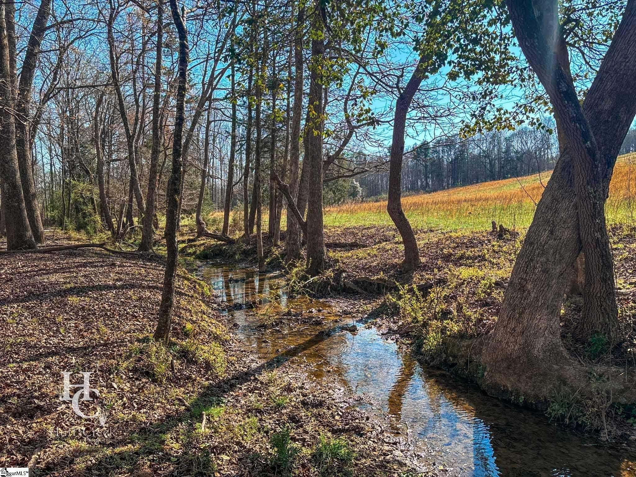 705 Dacusville Road Marietta, SC 29661 - Photo 23 of 49