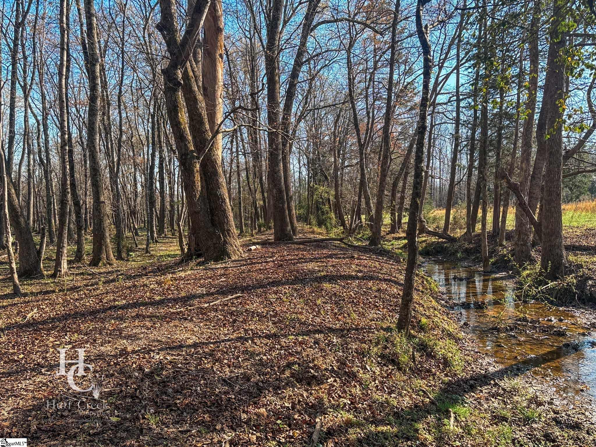705 Dacusville Road Marietta, SC 29661 - Photo 24 of 49