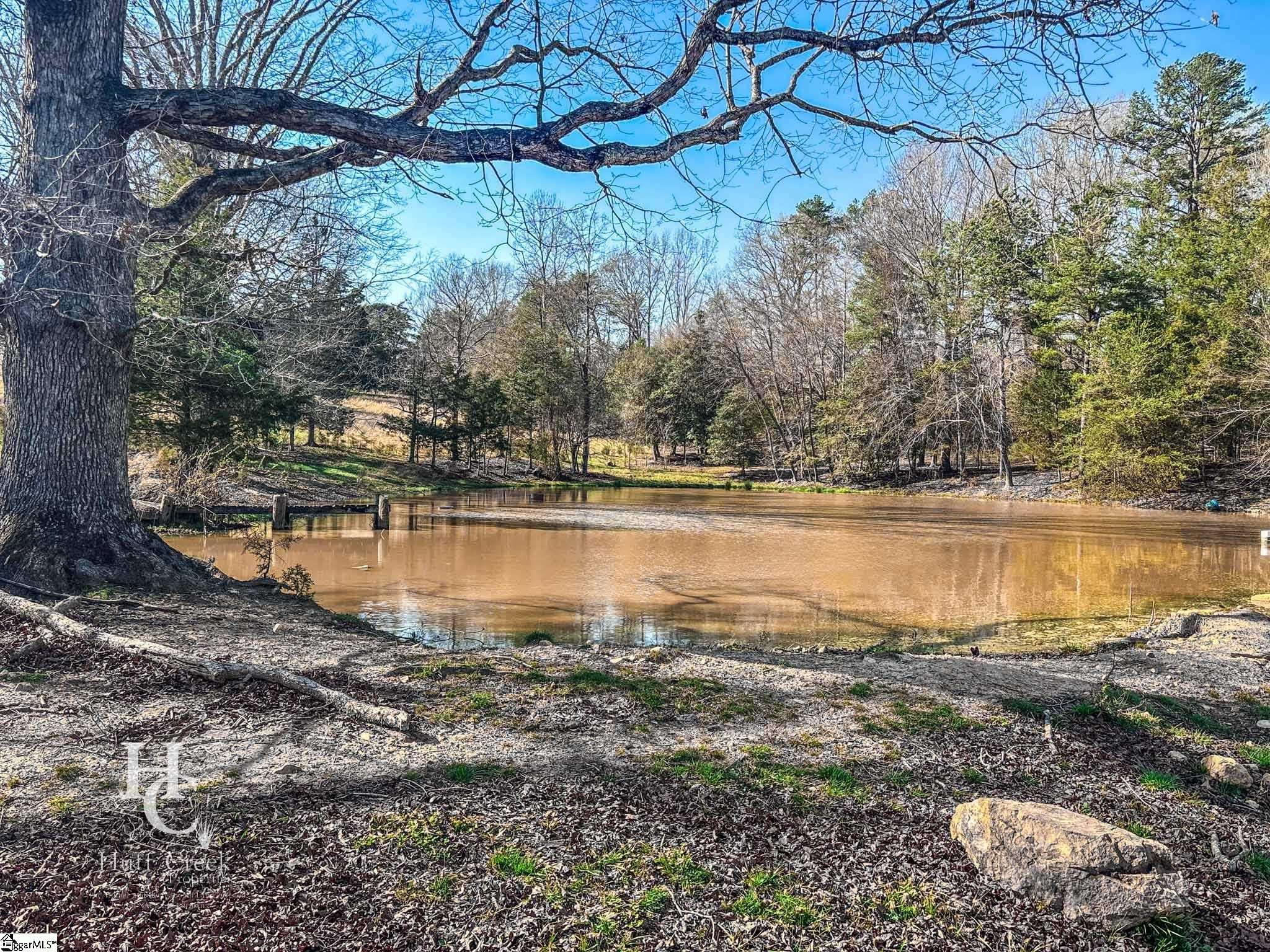 705 Dacusville Road Marietta, SC 29661 - Photo 26 of 49