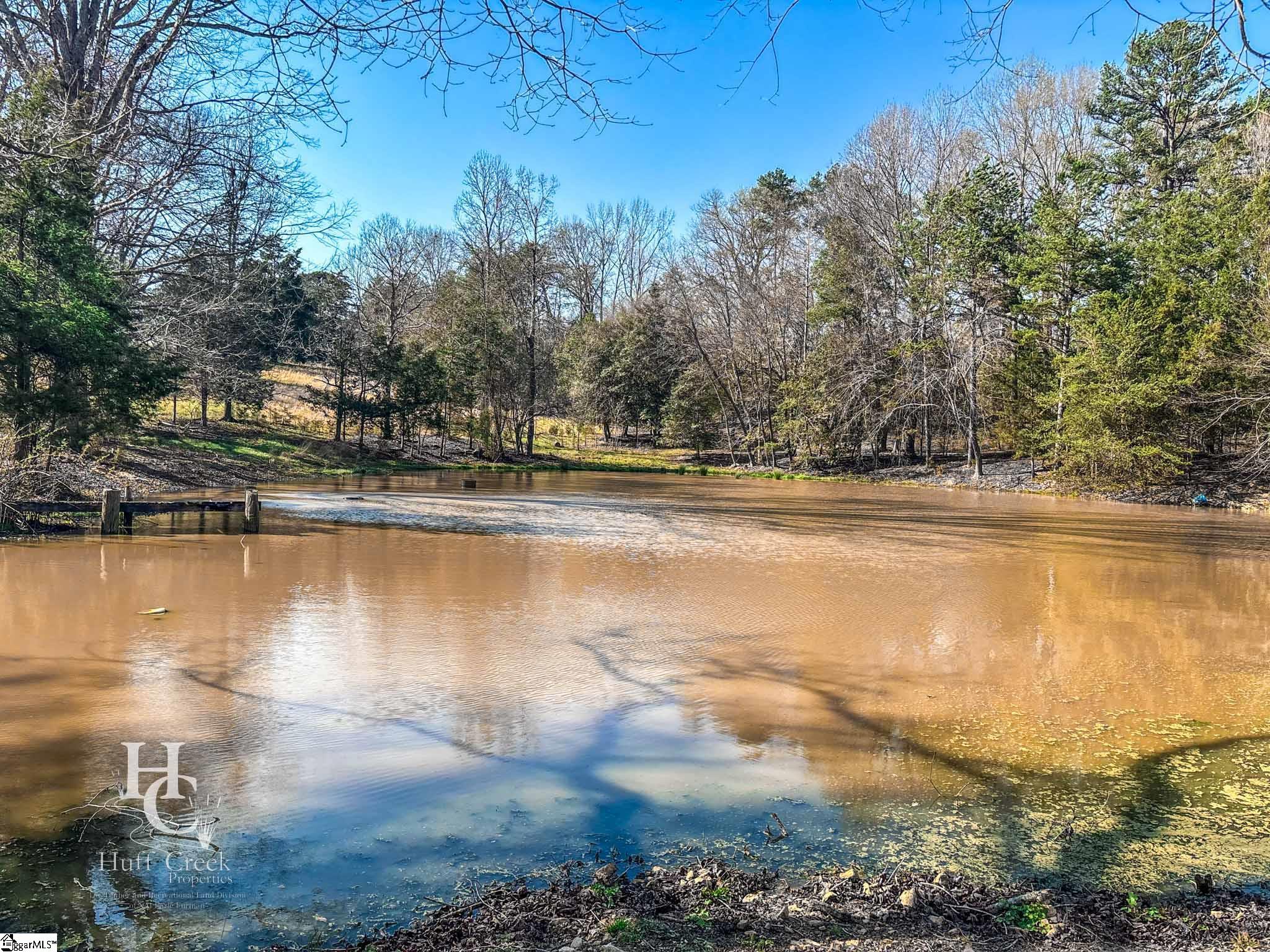 705 Dacusville Road Marietta, SC 29661 - Photo 27 of 49