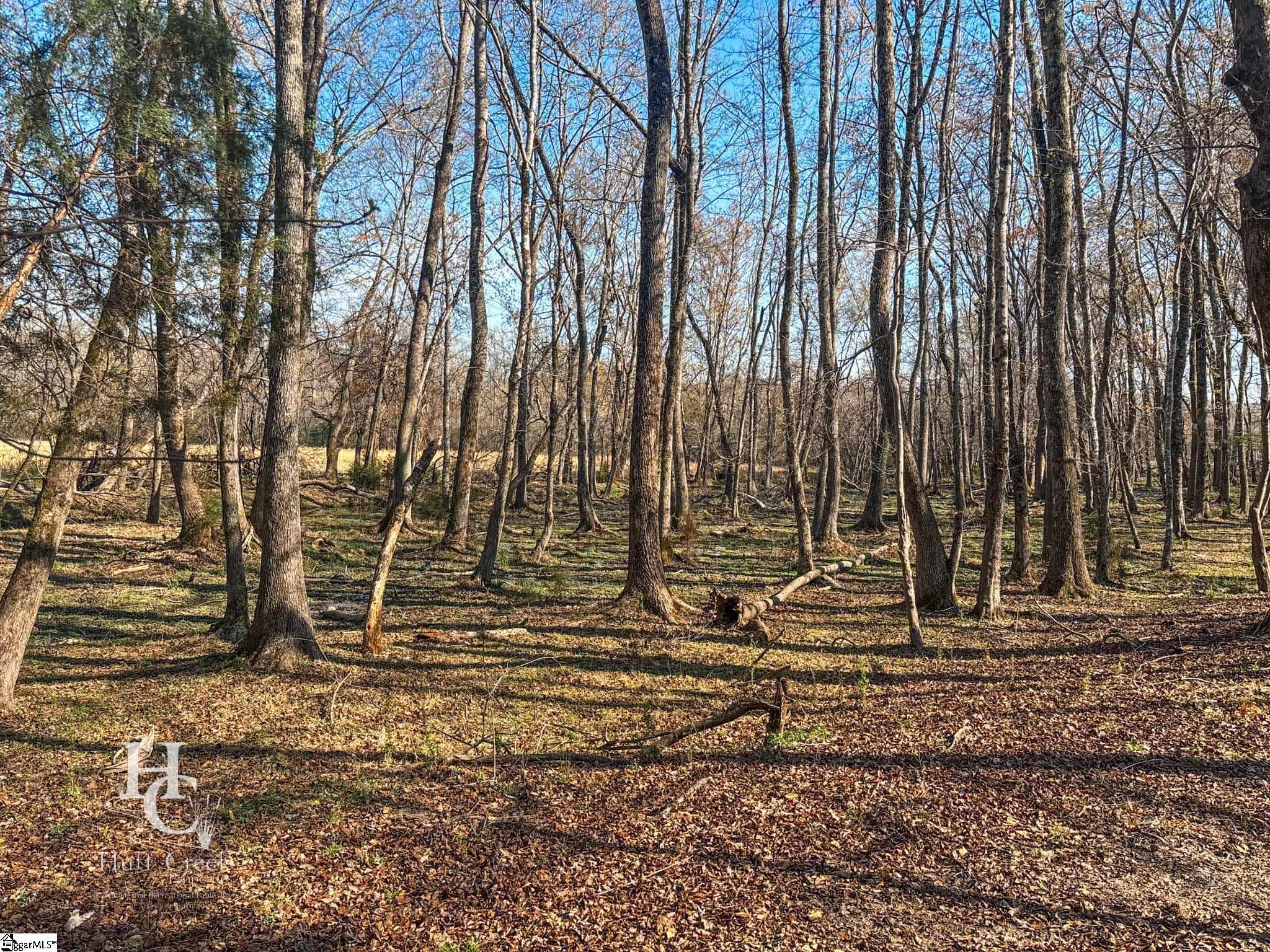705 Dacusville Road Marietta, SC 29661 - Photo 27 of 50