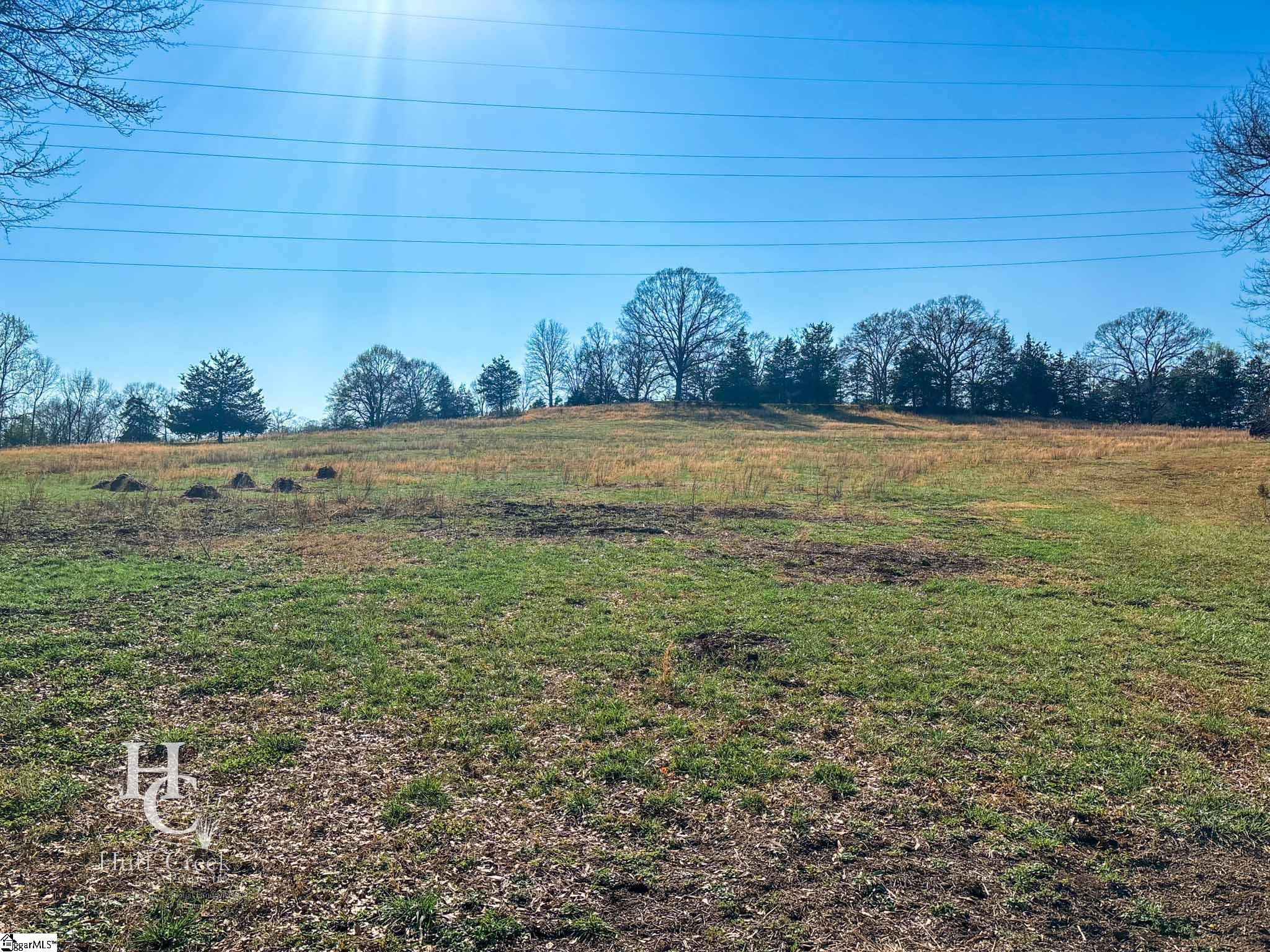 705 Dacusville Road Marietta, SC 29661 - Photo 29 of 49