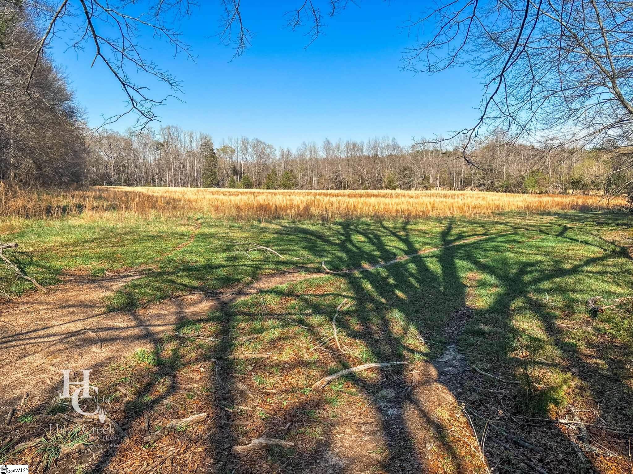 705 Dacusville Road Marietta, SC 29661 - Photo 30 of 50