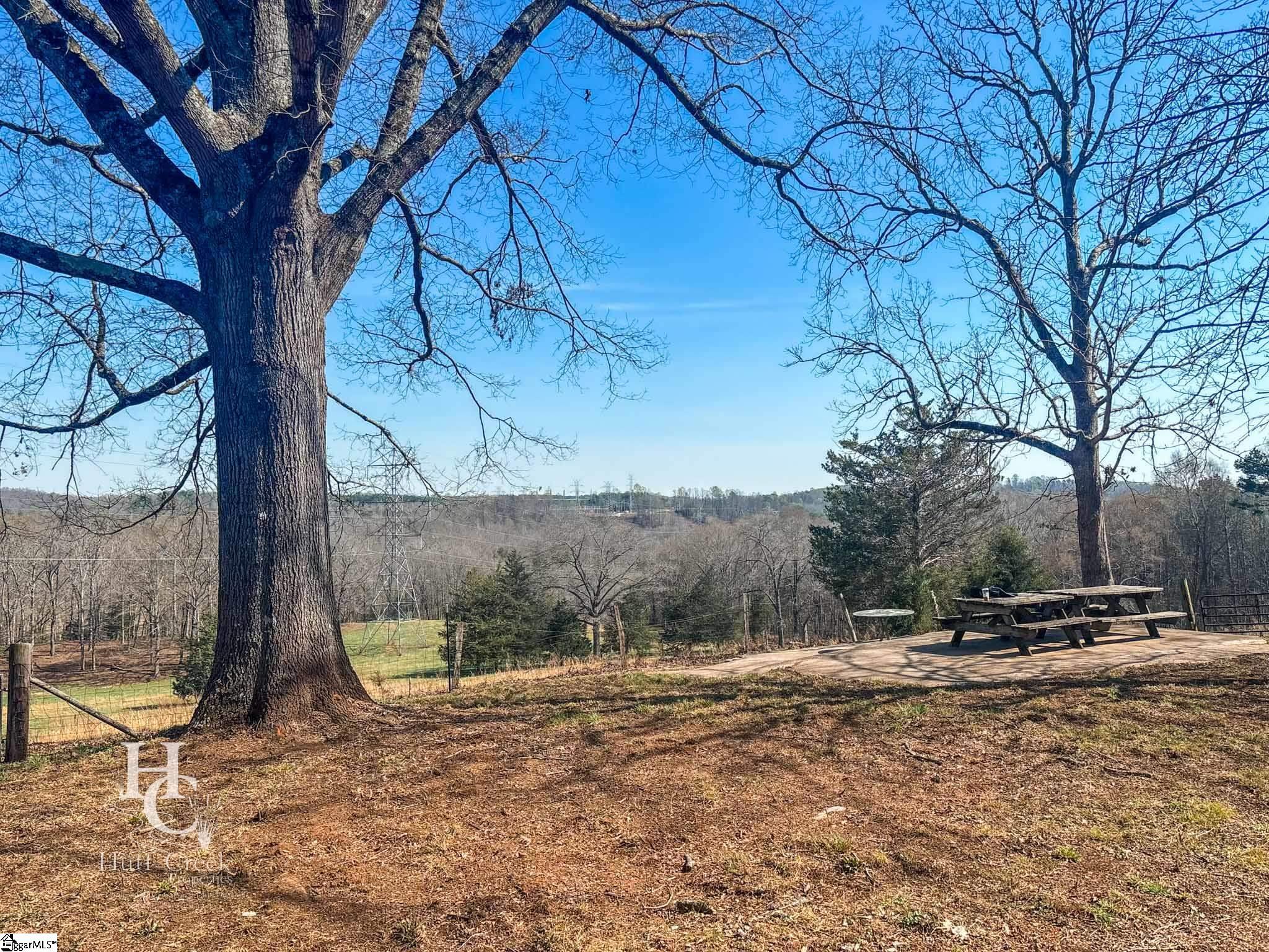 705 Dacusville Road Marietta, SC 29661 - Photo 40 of 49