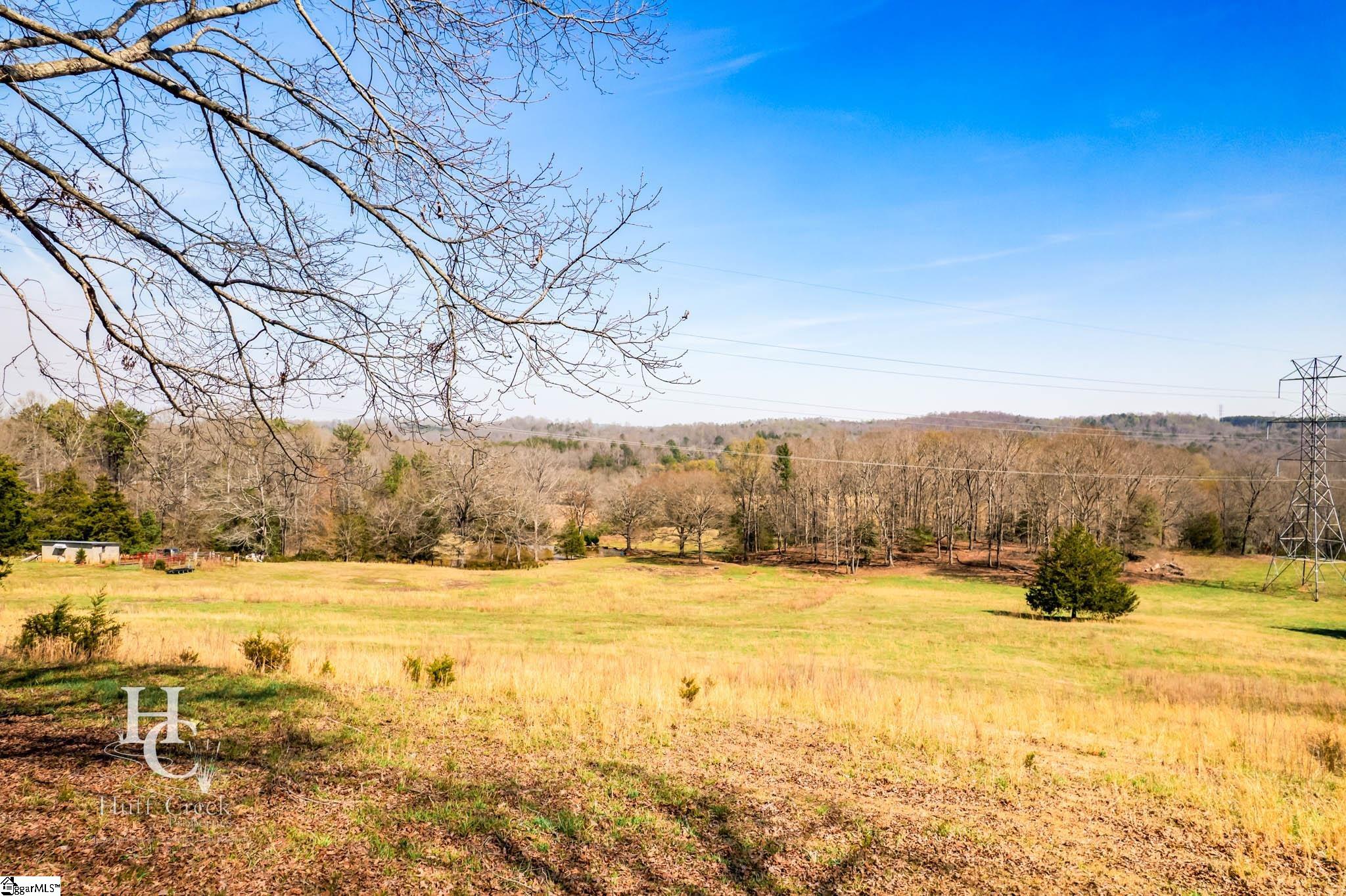 705 Dacusville Road Marietta, SC 29661 - Photo 4 of 49