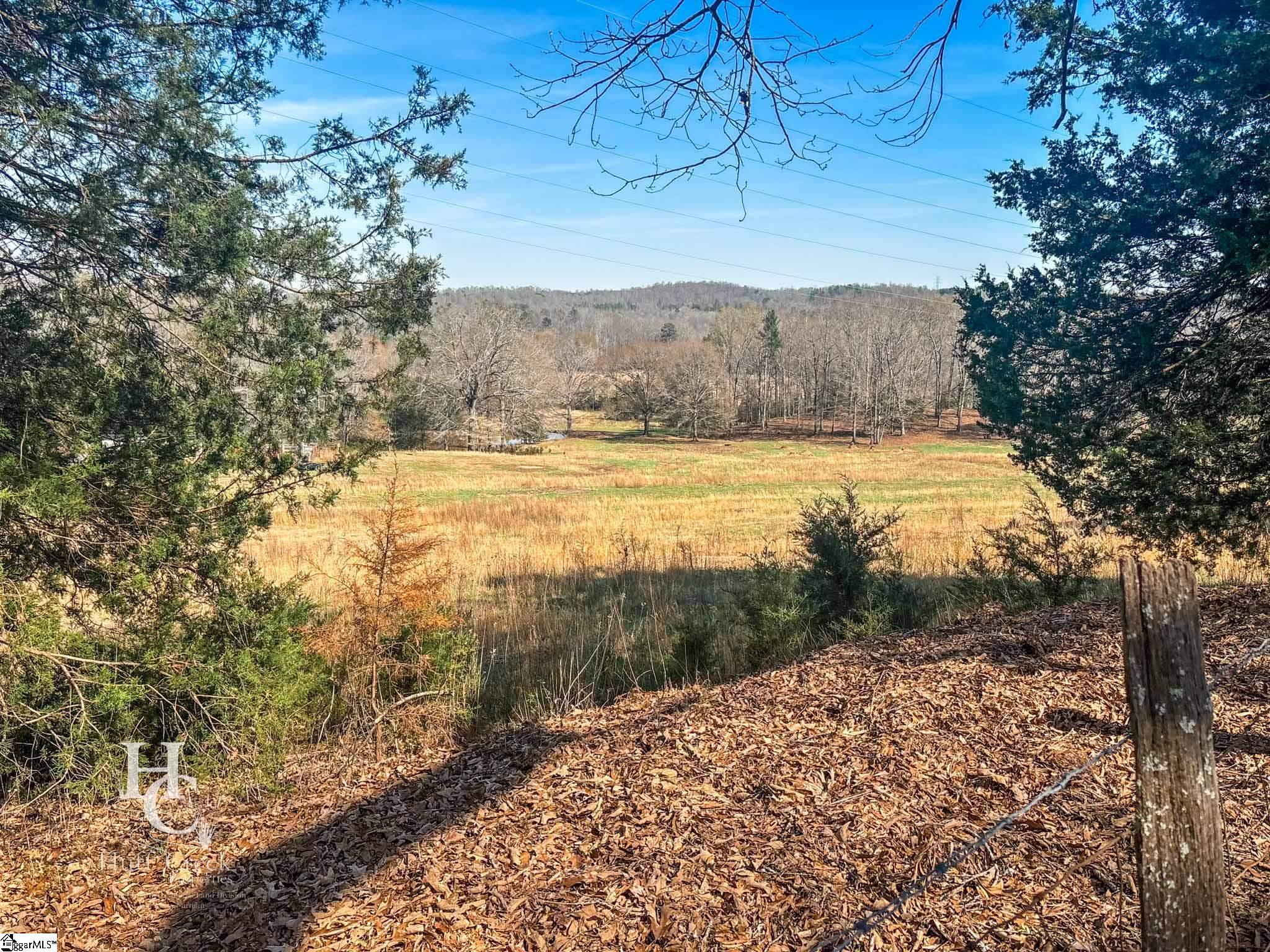 705 Dacusville Road Marietta, SC 29661 - Photo 43 of 49