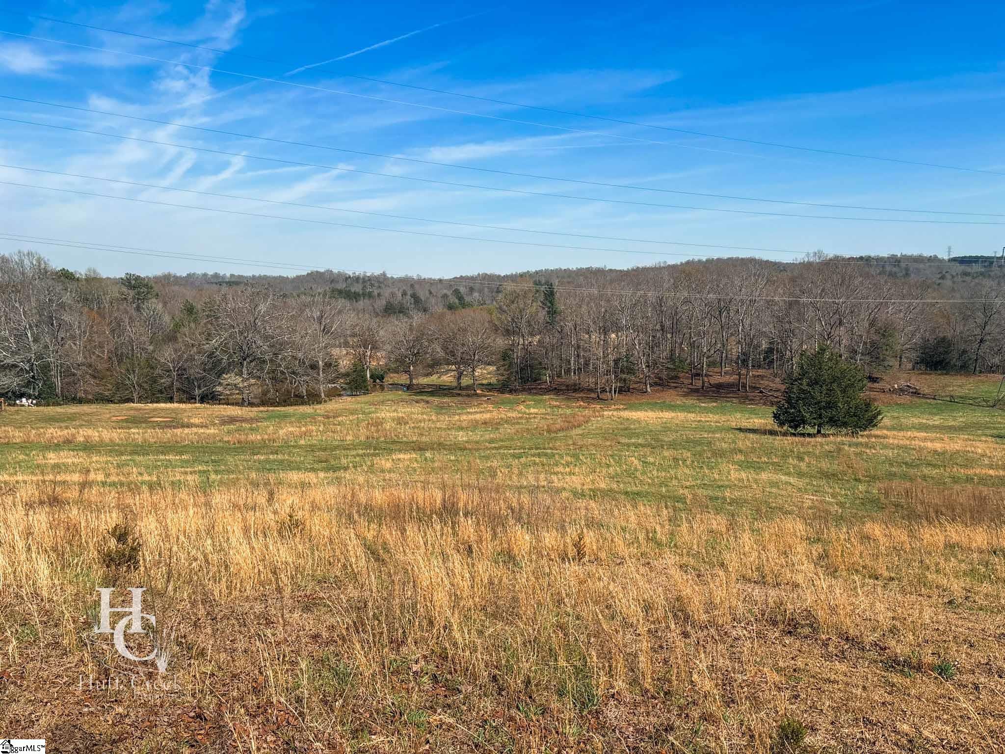 705 Dacusville Road Marietta, SC 29661 - Photo 44 of 49