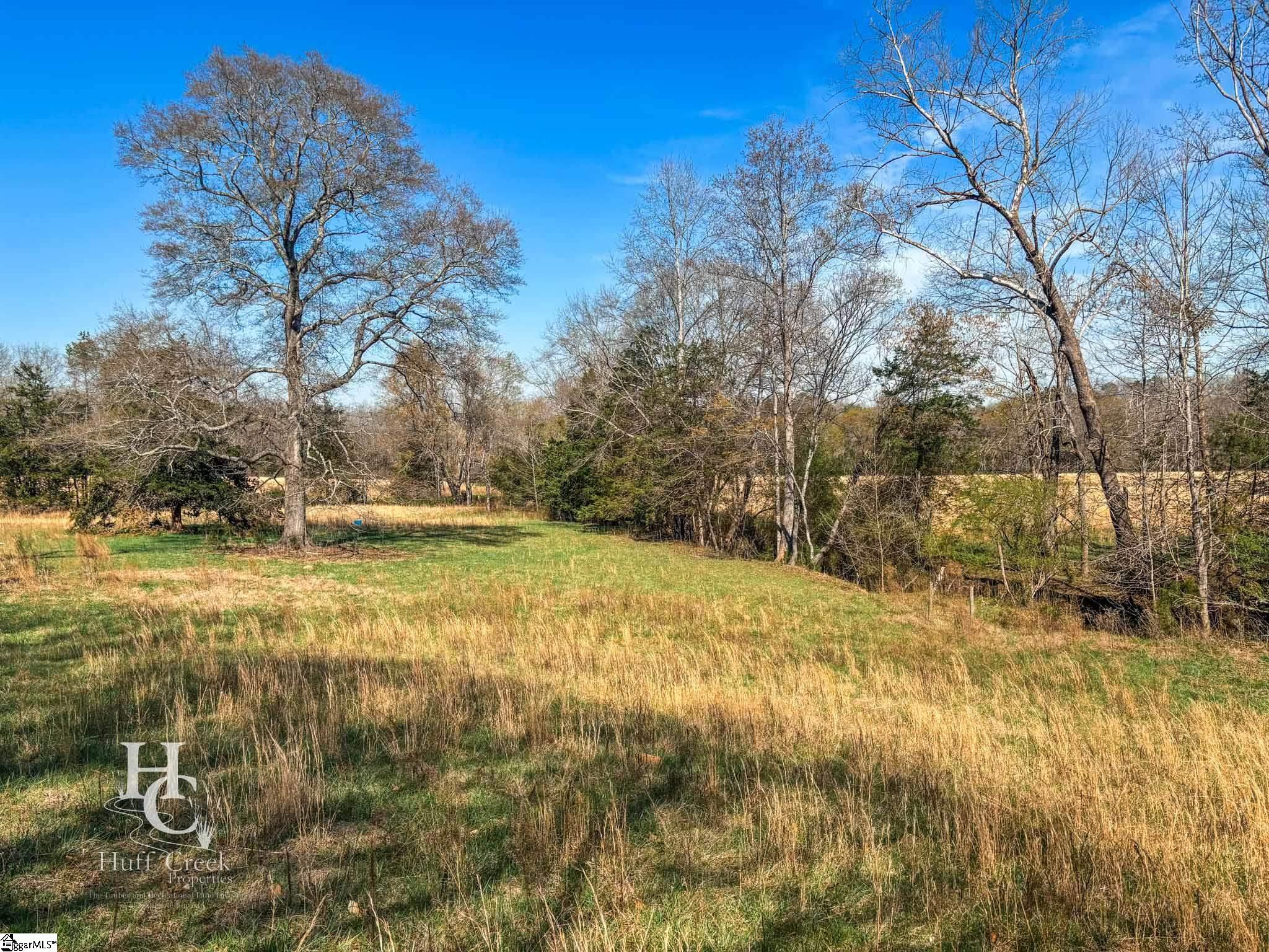 705 Dacusville Road Marietta, SC 29661 - Photo 46 of 50