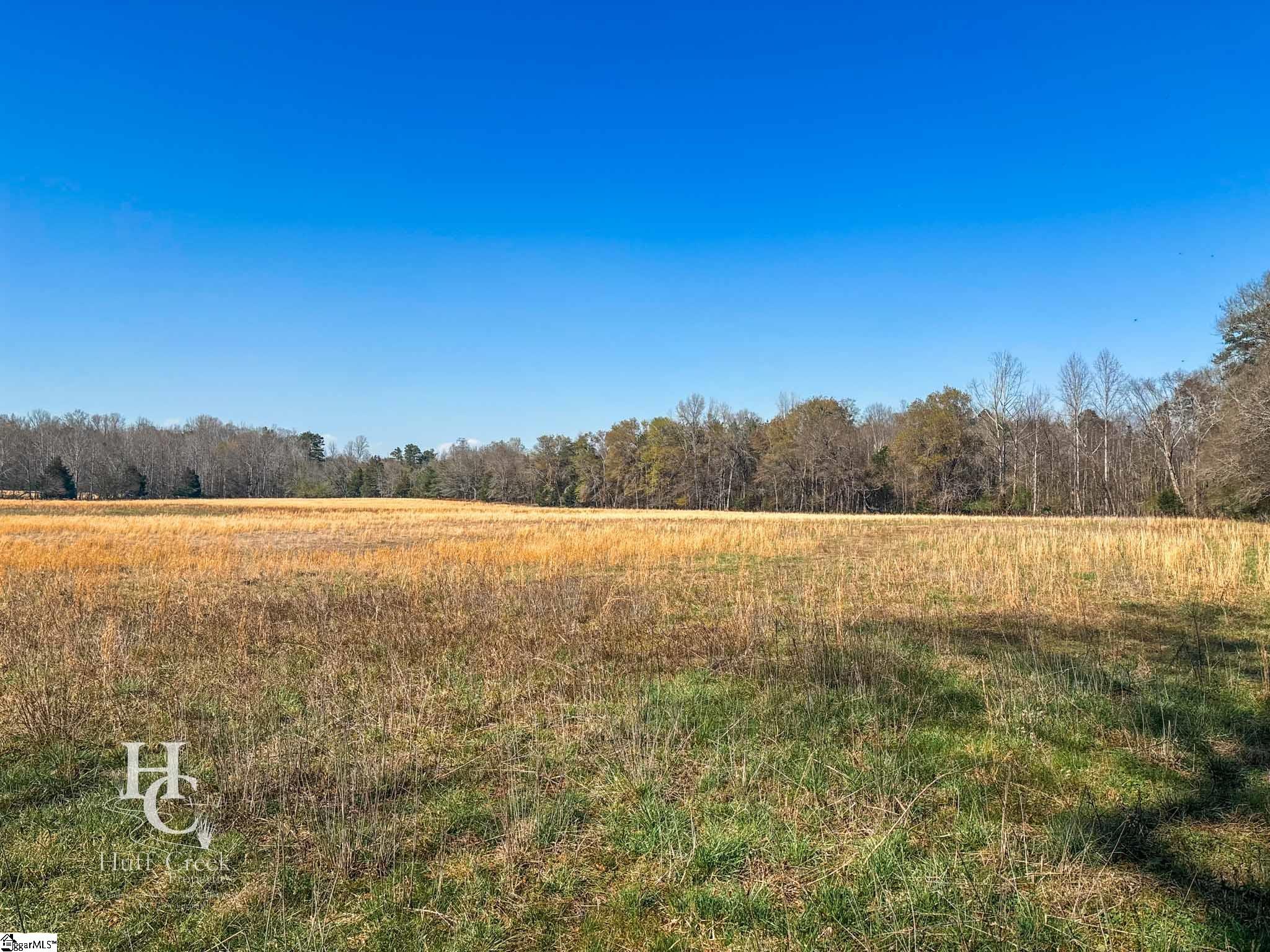 705 Dacusville Road Marietta, SC 29661 - Photo 47 of 50