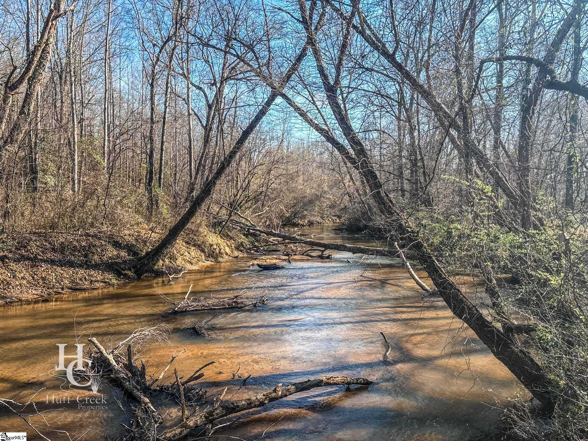 705 Dacusville Road Marietta, SC 29661 - Photo 47 of 49