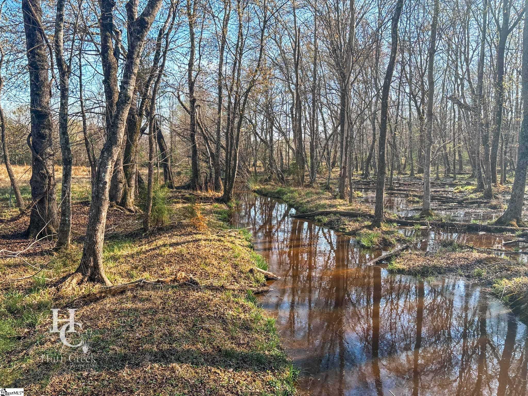 705 Dacusville Road Marietta, SC 29661 - Photo 48 of 49