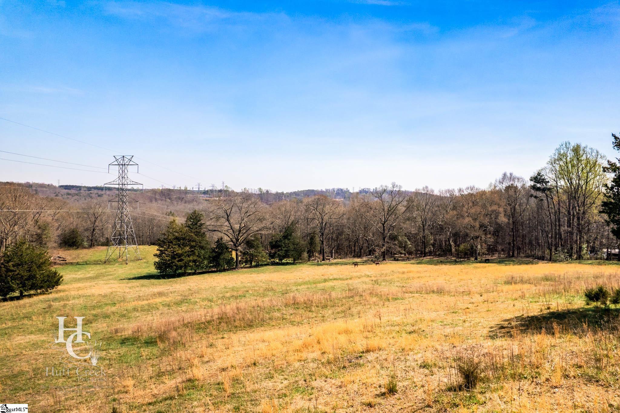 705 Dacusville Road Marietta, SC 29661 - Photo 5 of 49