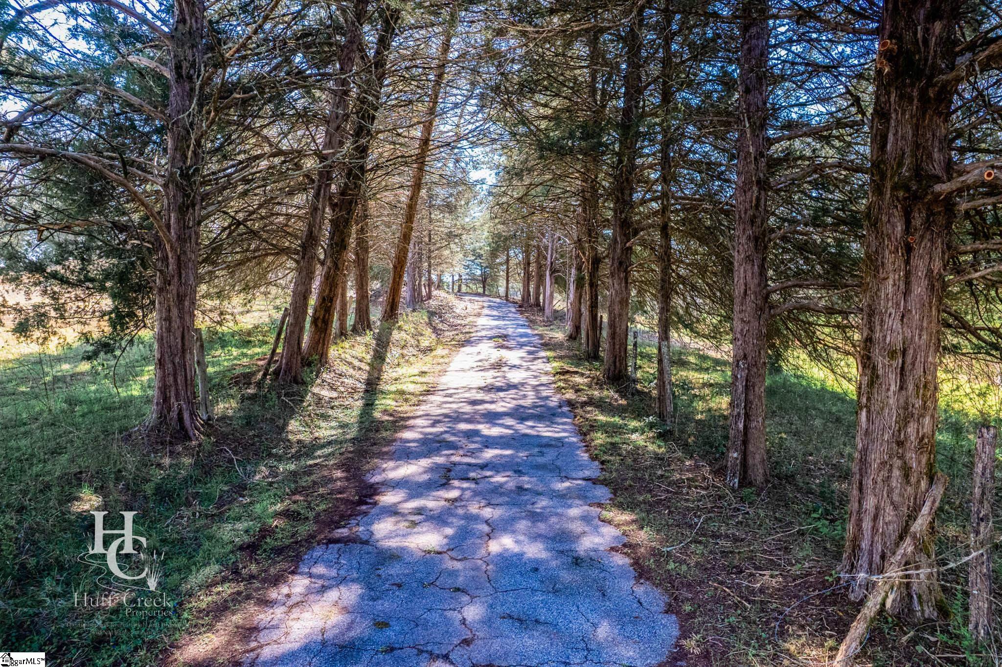 705 Dacusville Road Marietta, SC 29661 - Photo 9 of 49