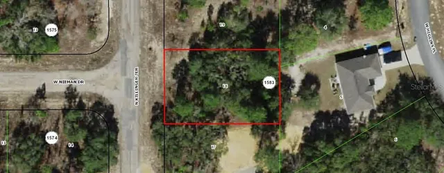 a view of a yard with trees