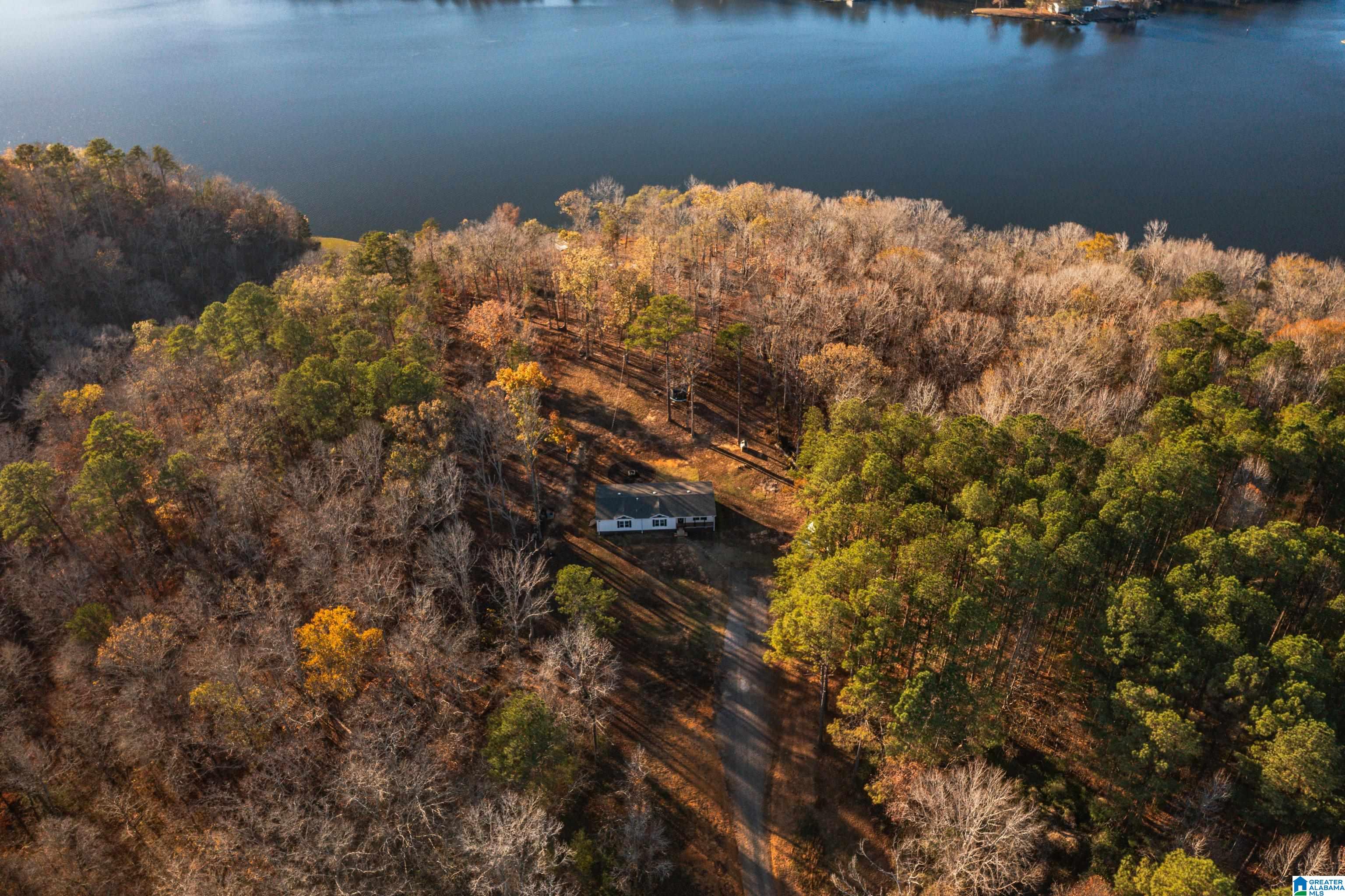 191 Warrior River Highlands Road Adger, AL 35006 - Photo 67 of 81