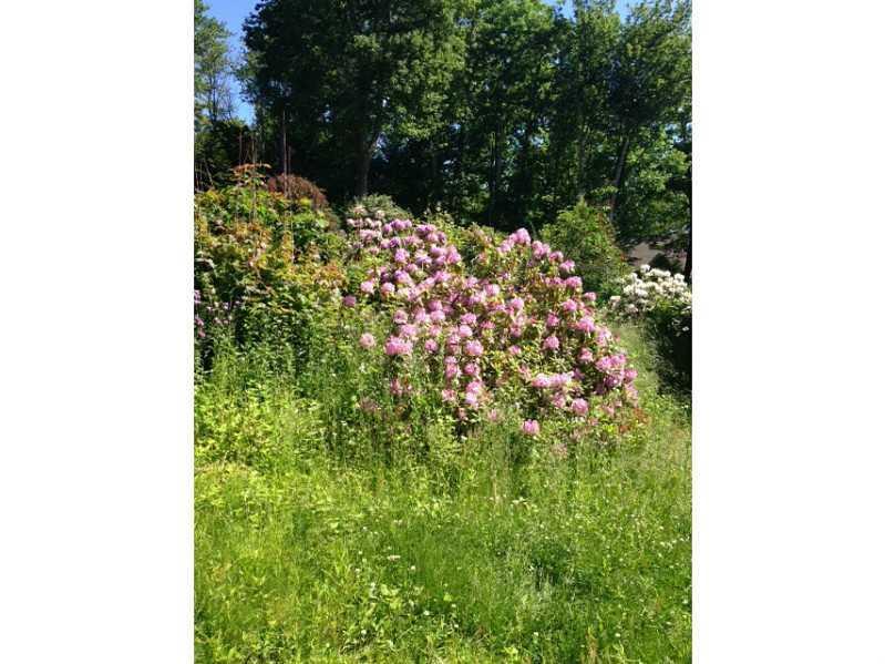 23 Ramsdell Road Falmouth, ME 04105 - Photo 6 of 10 Yard/Garden.
